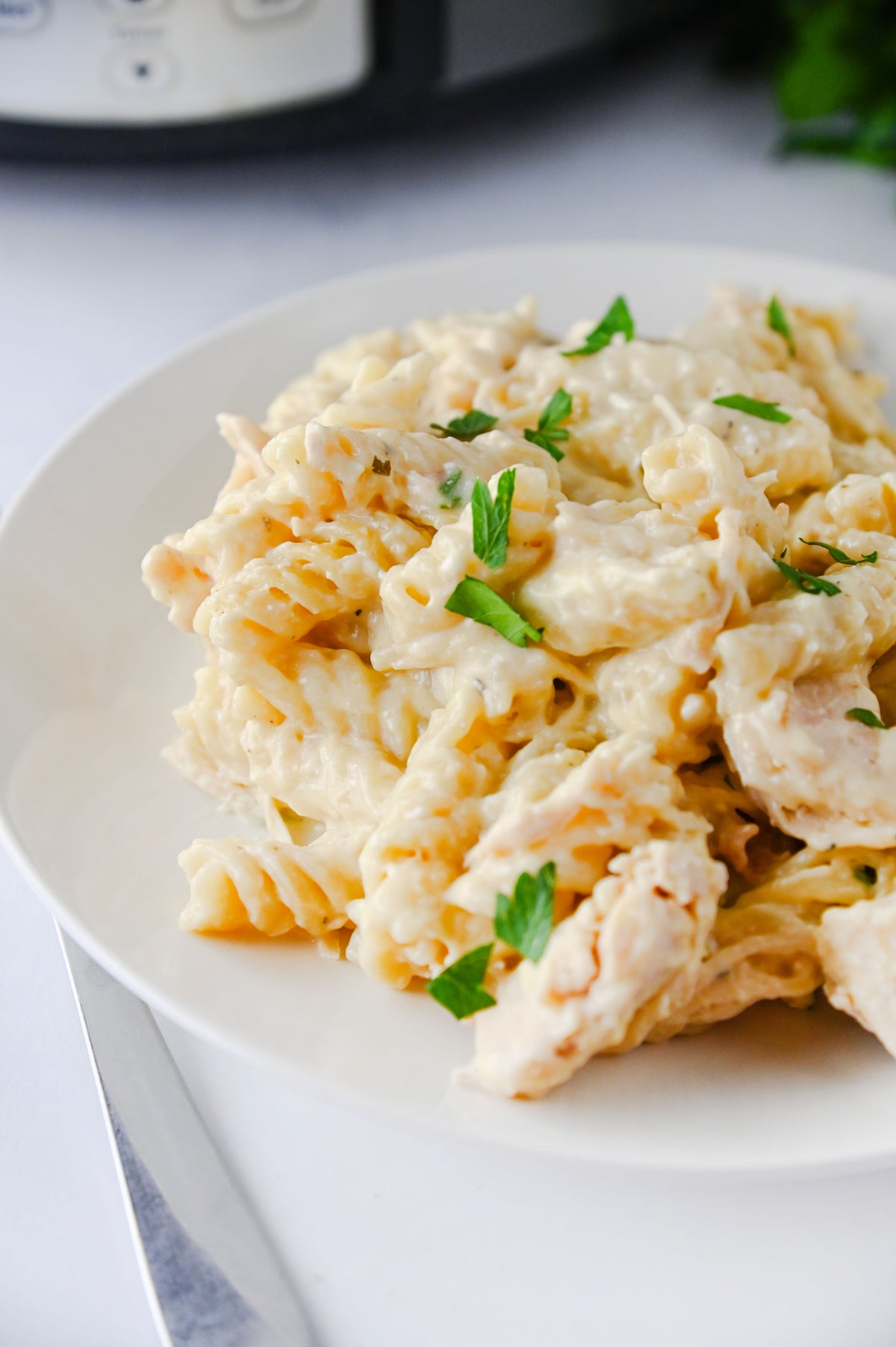 Slow Cooker Ranch Chicken Set #4