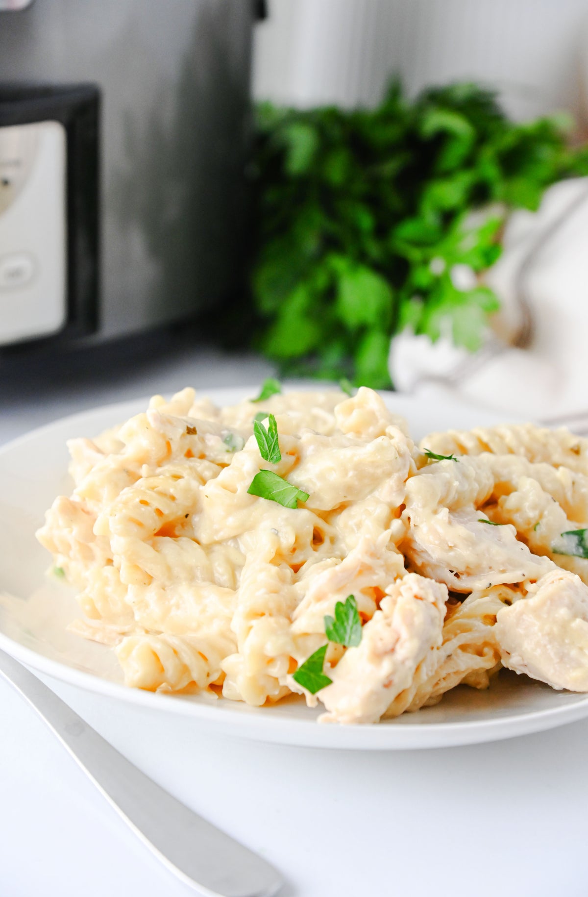 Slow Cooker Ranch Chicken Set #4