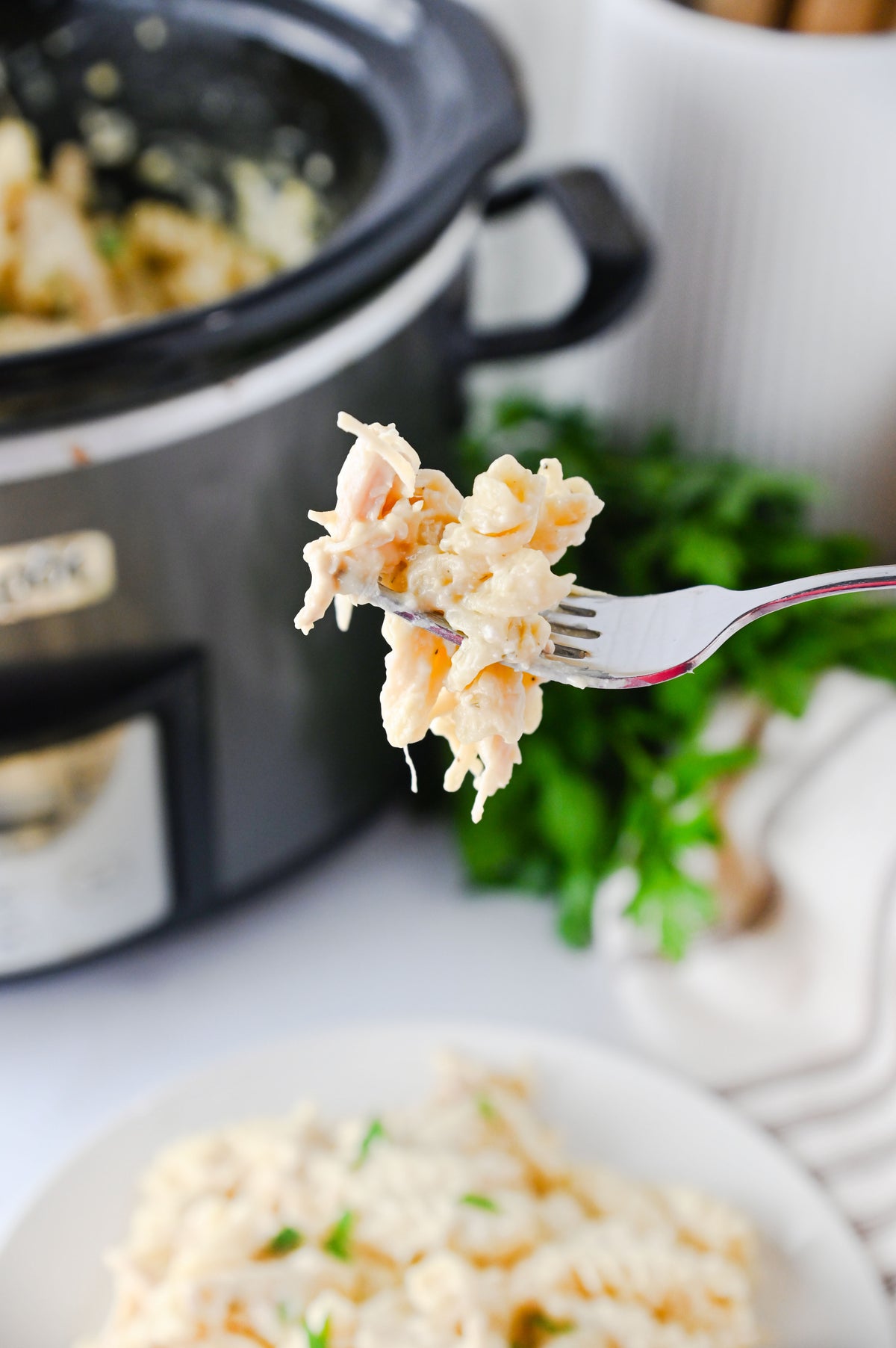 Slow Cooker Ranch Chicken Set #4