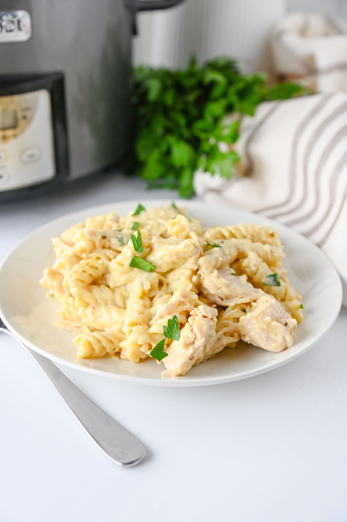 Slow Cooker Ranch Chicken Set #4
