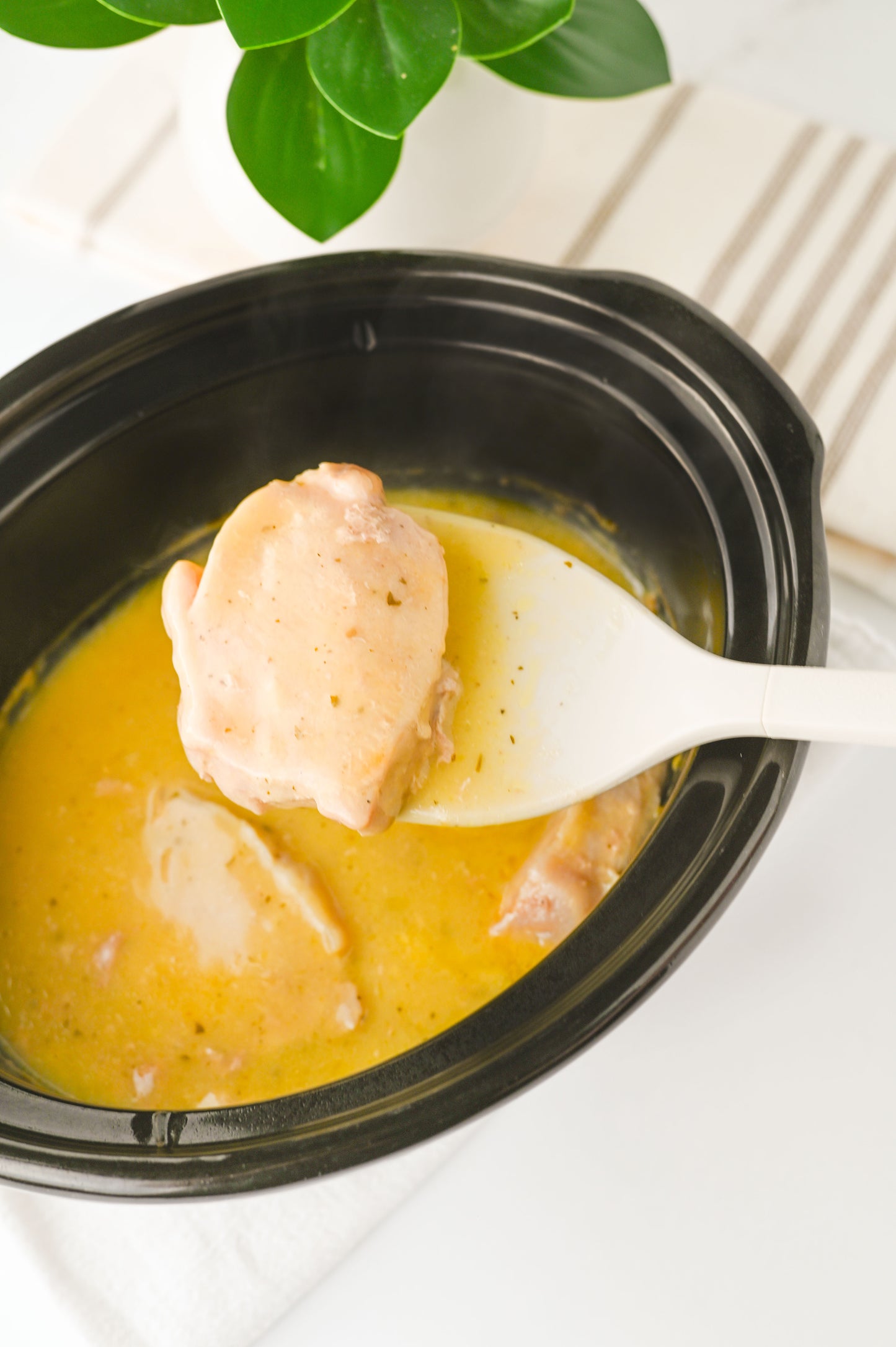 Crock Pot Ranch Pork Chops Set #4