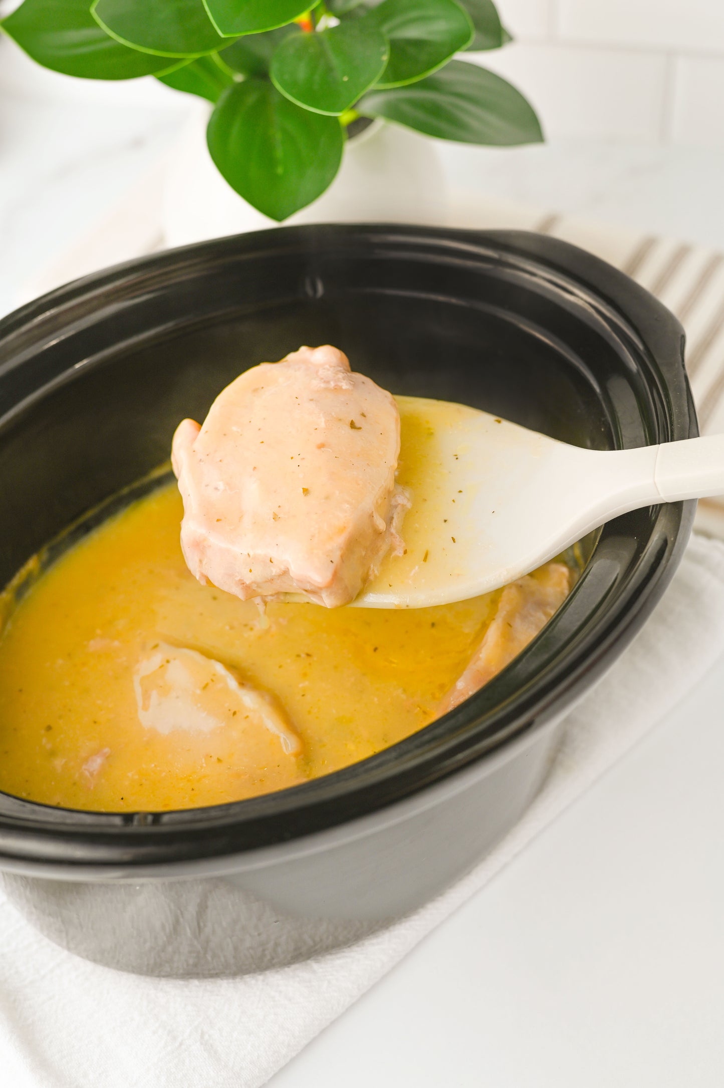 Crock Pot Ranch Pork Chops Set #4