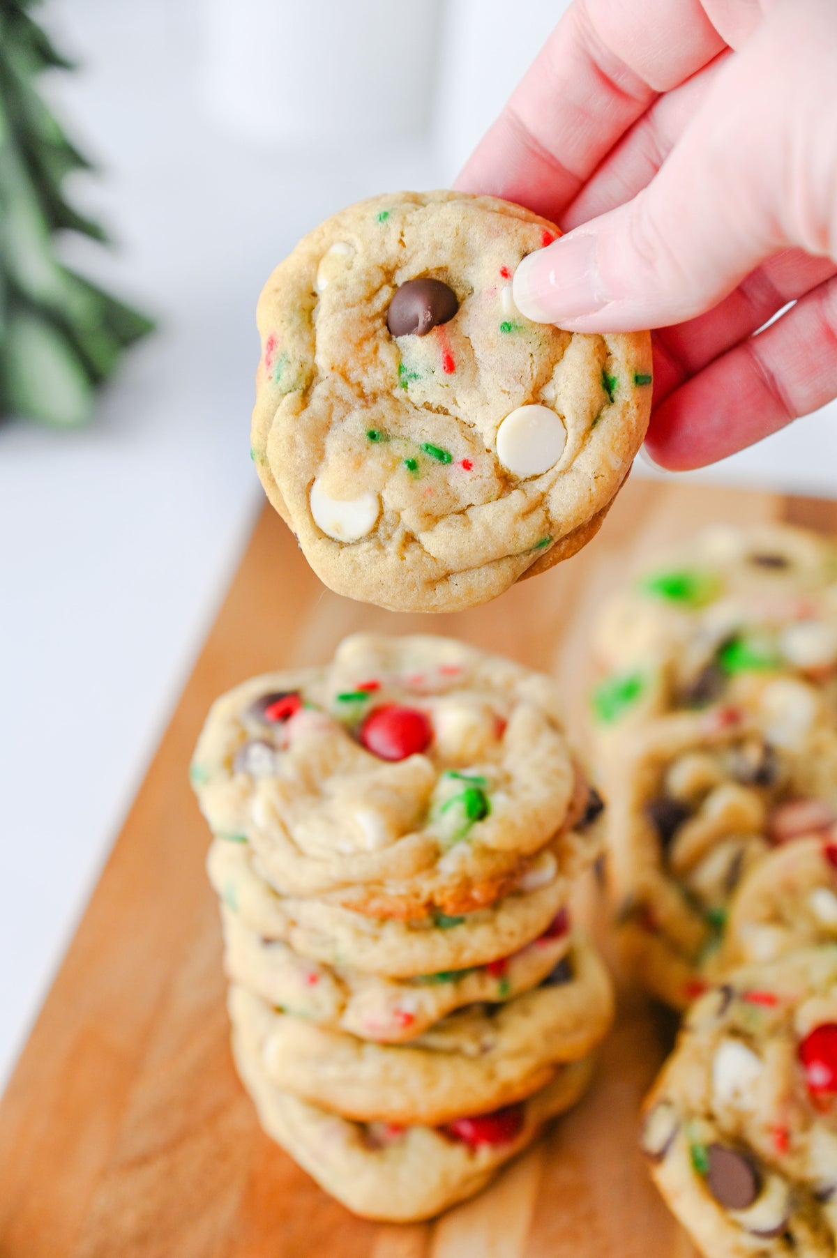 Santa's Favorite Cookies Set #4