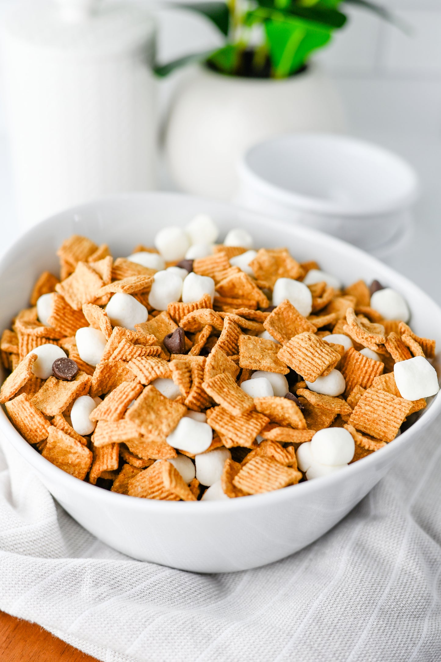 S'mores Snack Mix Set #4