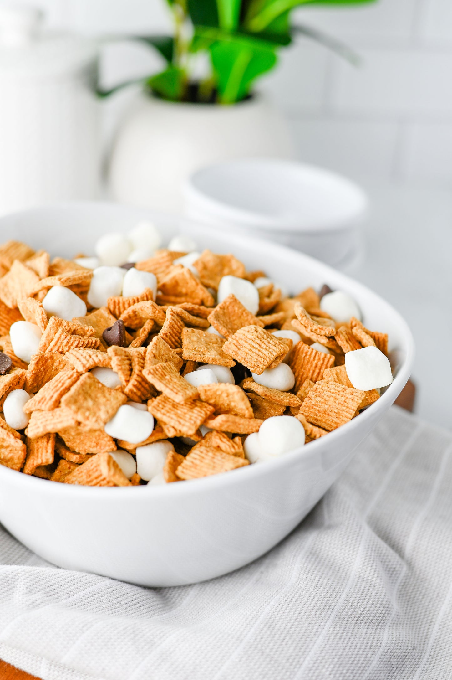 S'mores Snack Mix Set #4