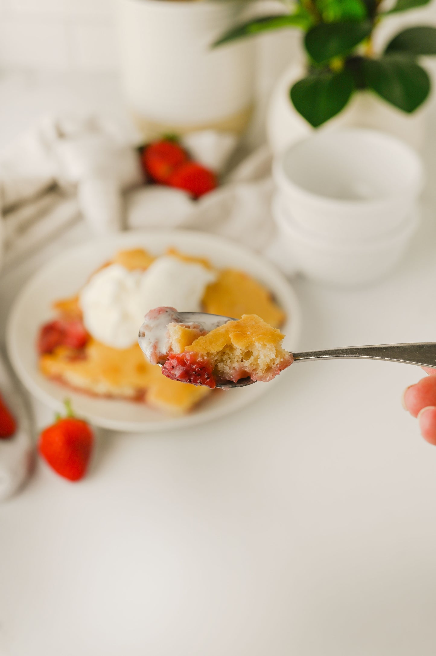 Strawberry Cobbler Set #4