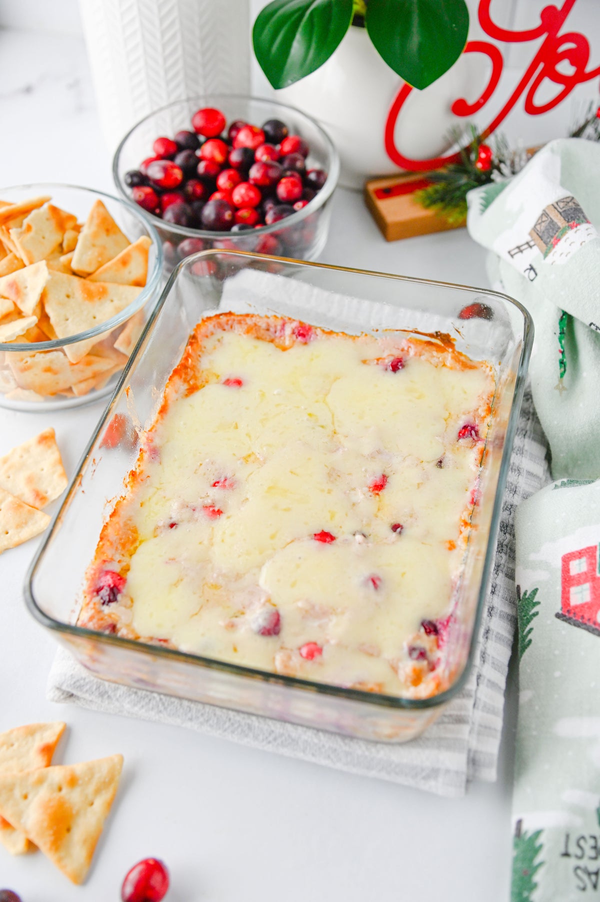 White Cheddar Cranberry Dip Set #4