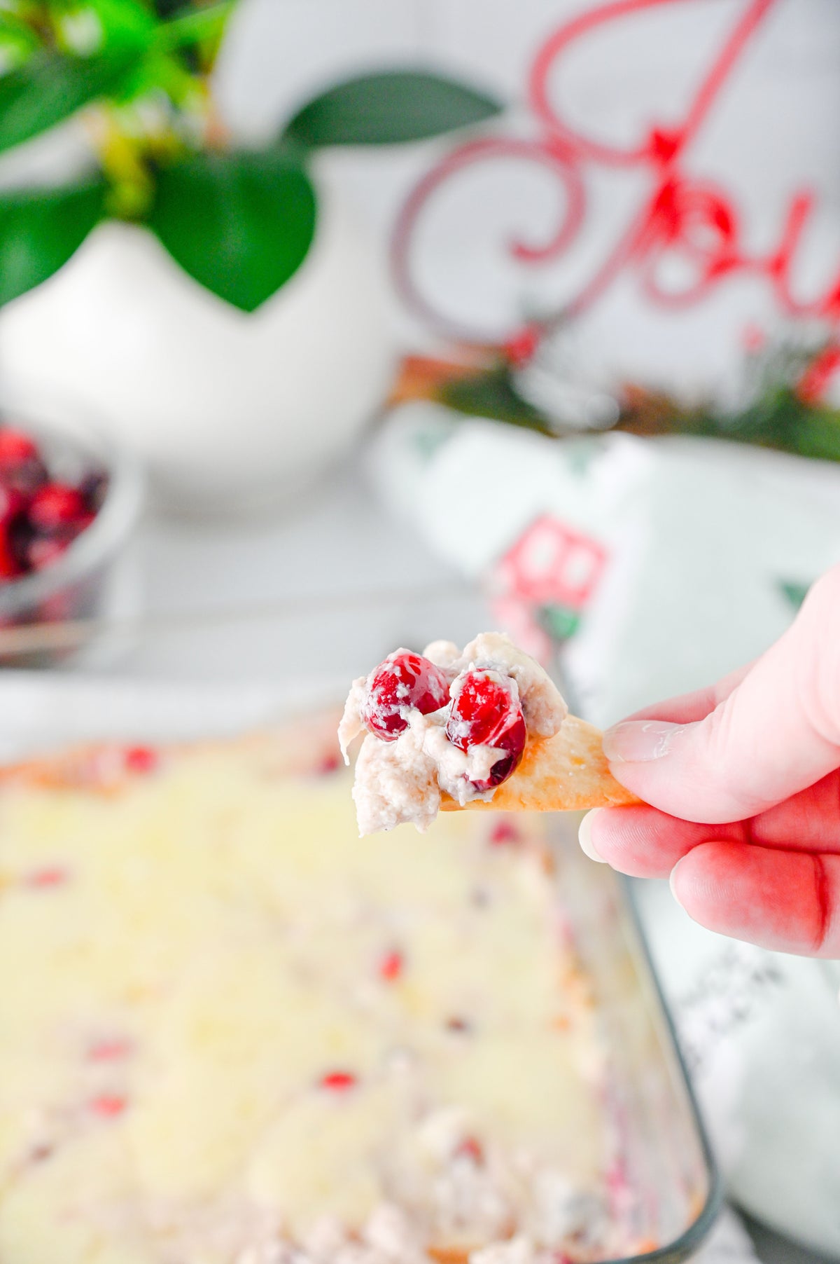 White Cheddar Cranberry Dip Set #4