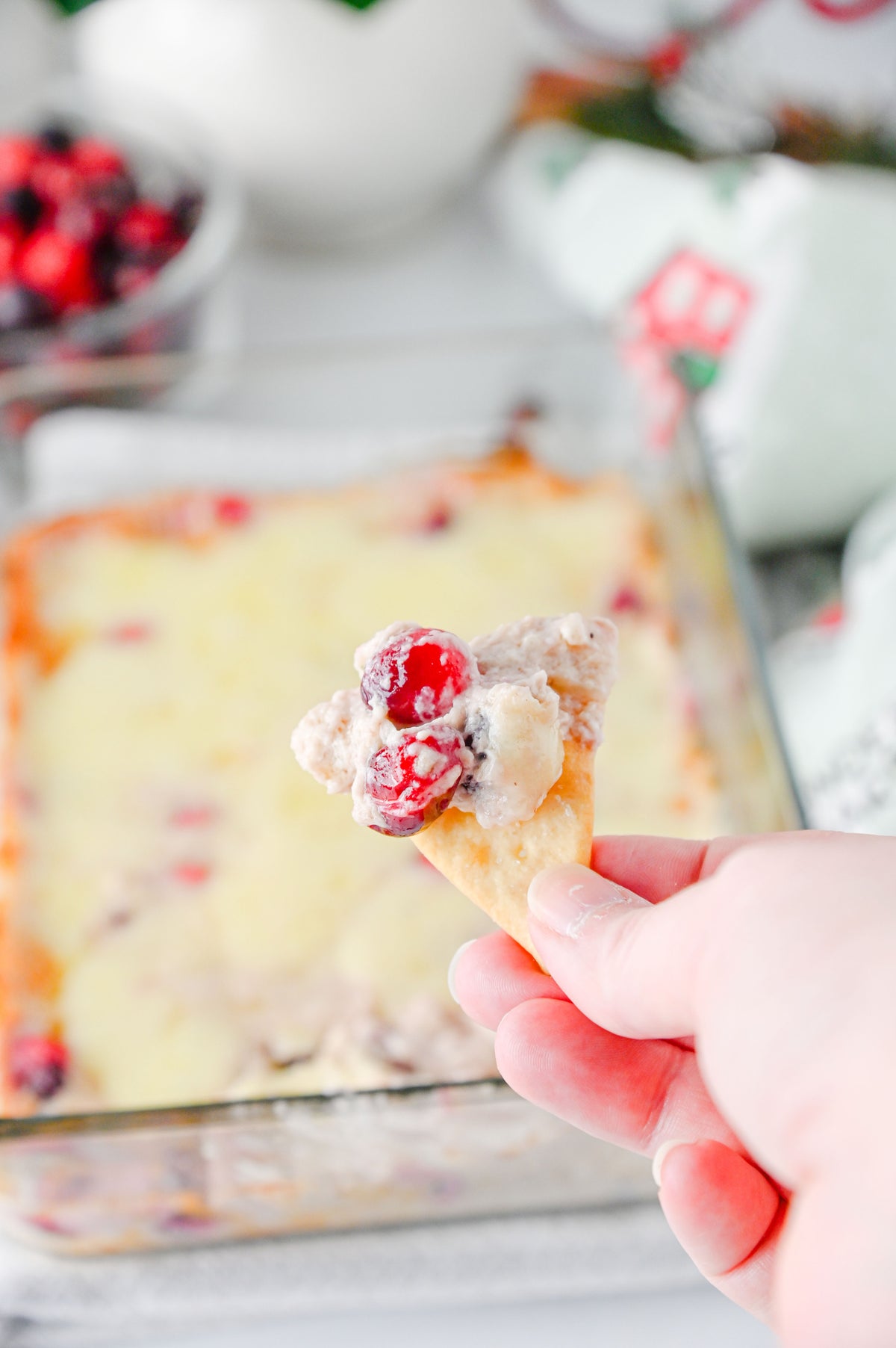White Cheddar Cranberry Dip Set #4