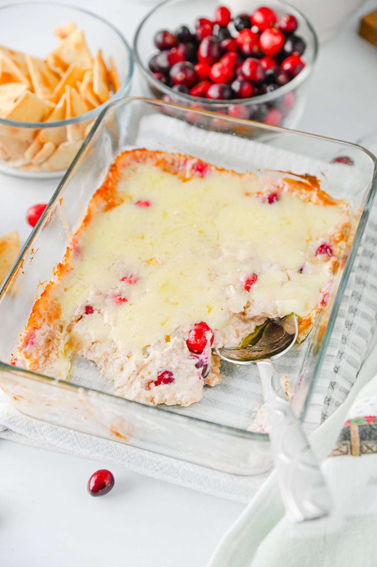 White Cheddar Cranberry Dip Set #4