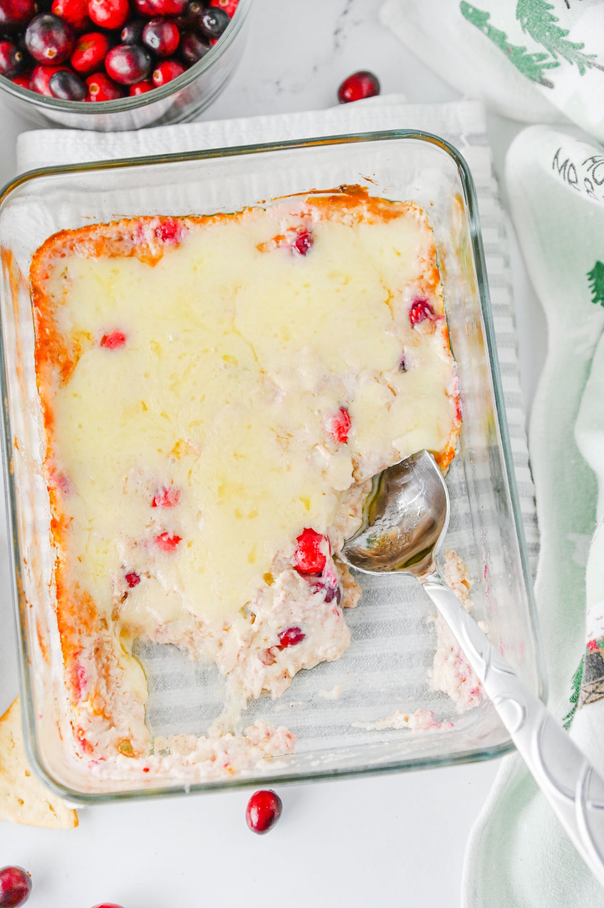 White Cheddar Cranberry Dip Set #4