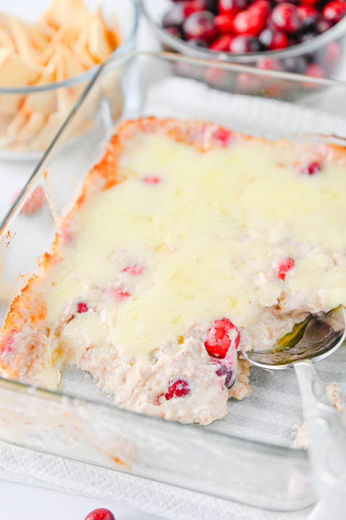 White Cheddar Cranberry Dip Set #4