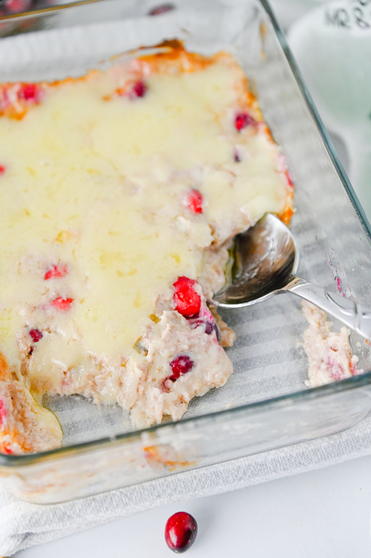 White Cheddar Cranberry Dip Set #4