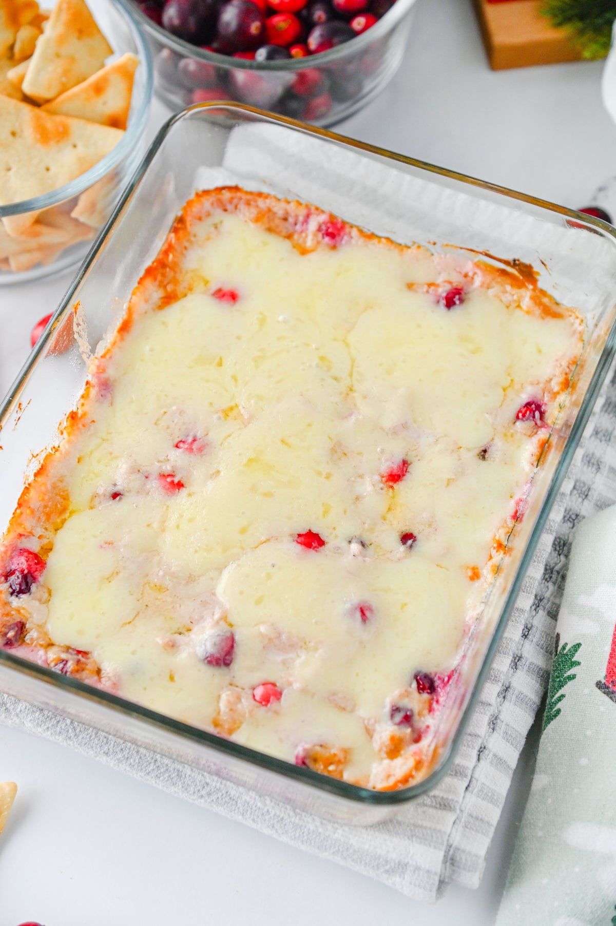 White Cheddar Cranberry Dip Set #4