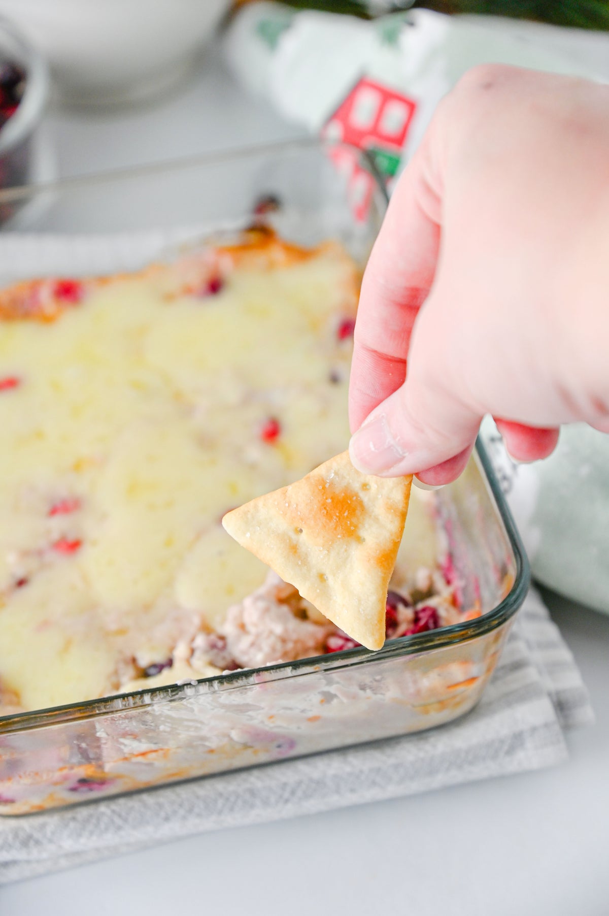 White Cheddar Cranberry Dip Set #4