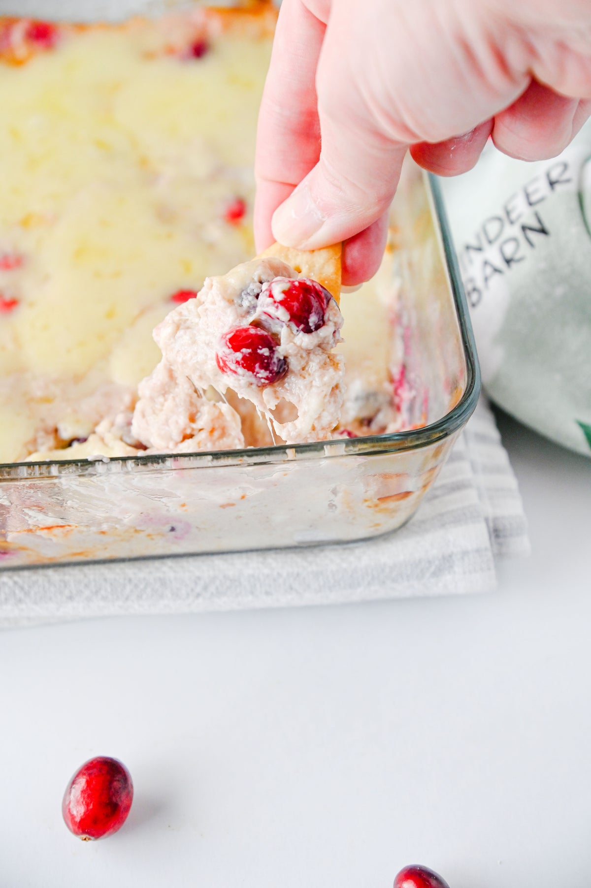 White Cheddar Cranberry Dip Set #4
