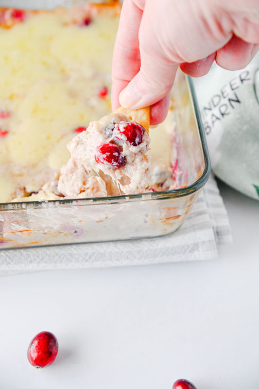 White Cheddar Cranberry Dip Set #4