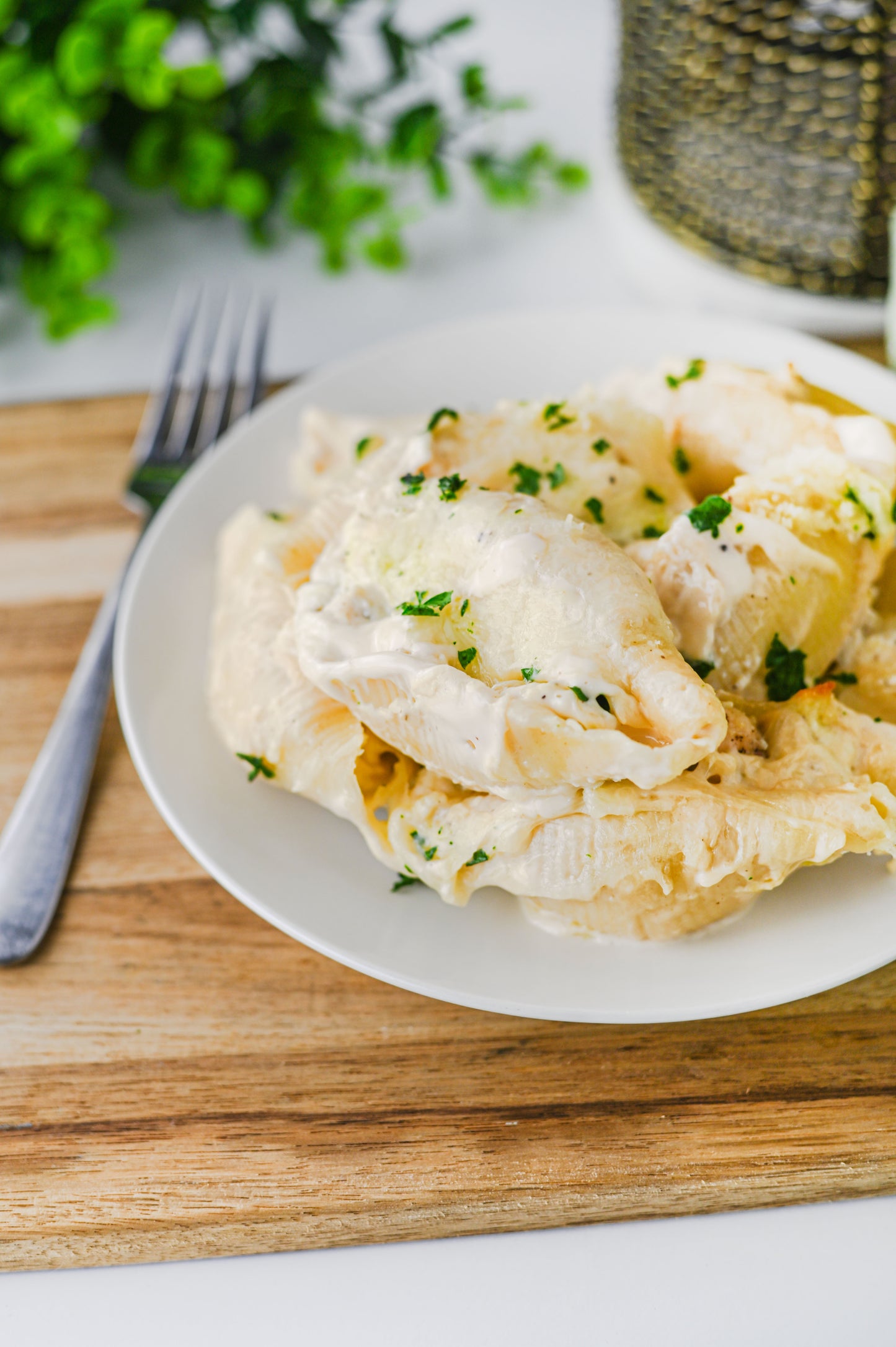 Alfredo Stuffed Shells Set #5