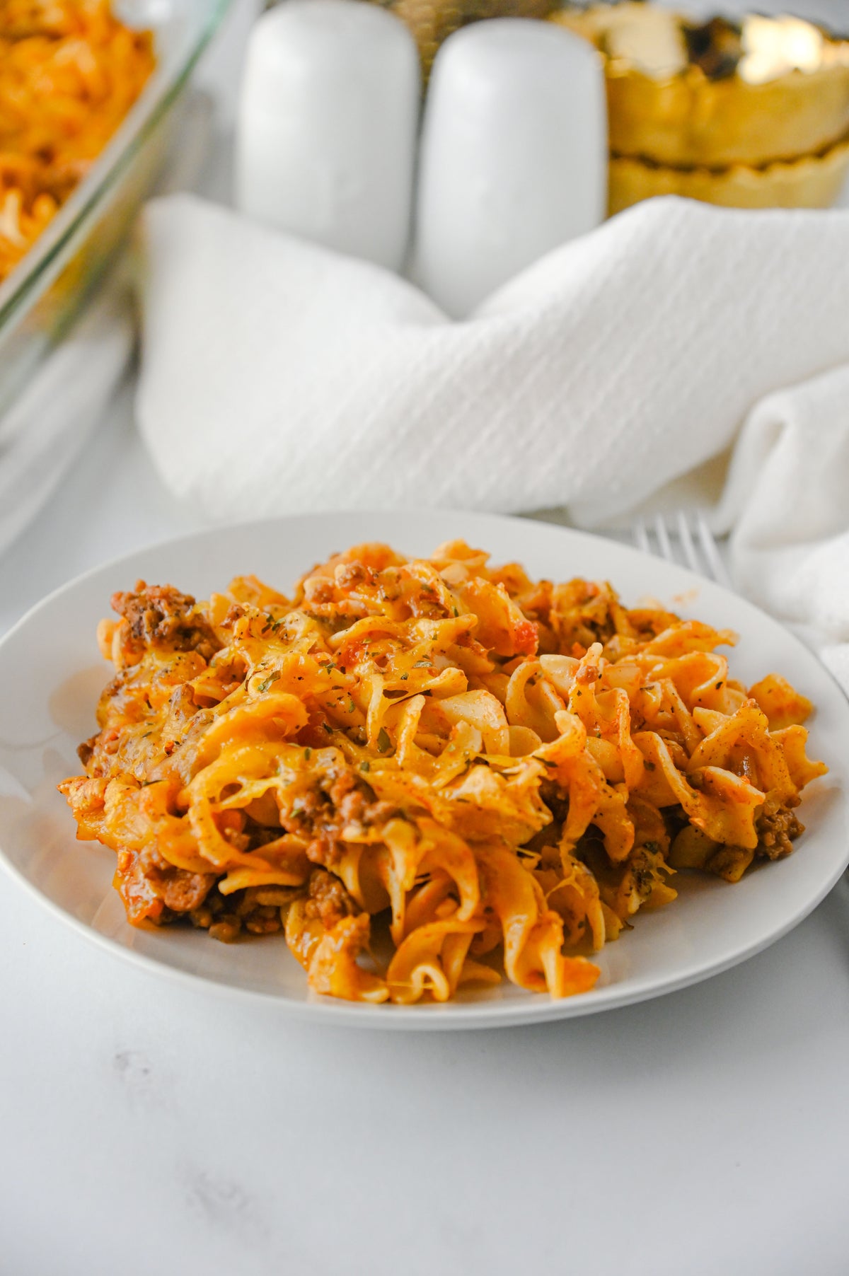 Beef Noodle Casserole Set #5