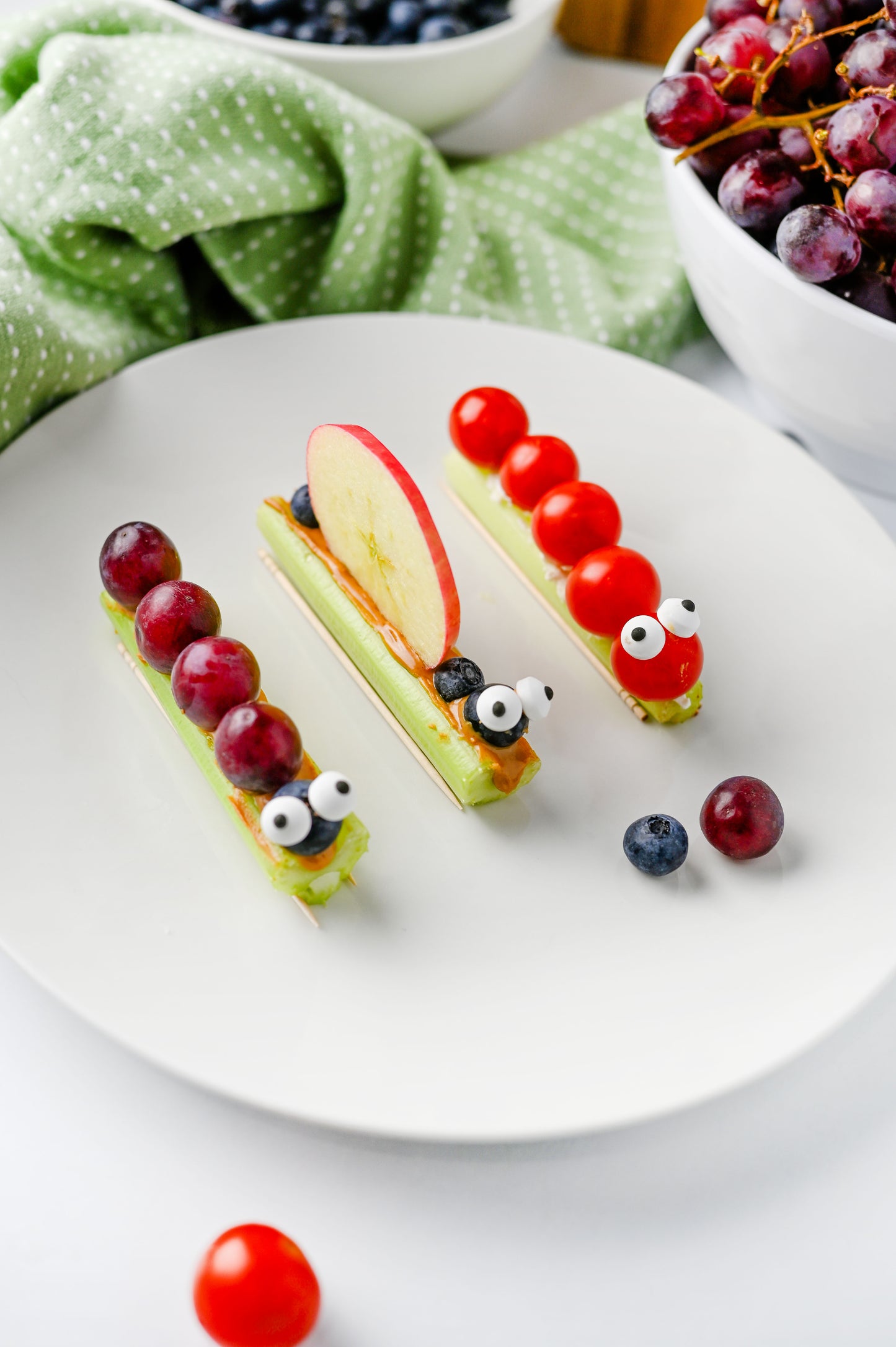 Celery Bug Snacks