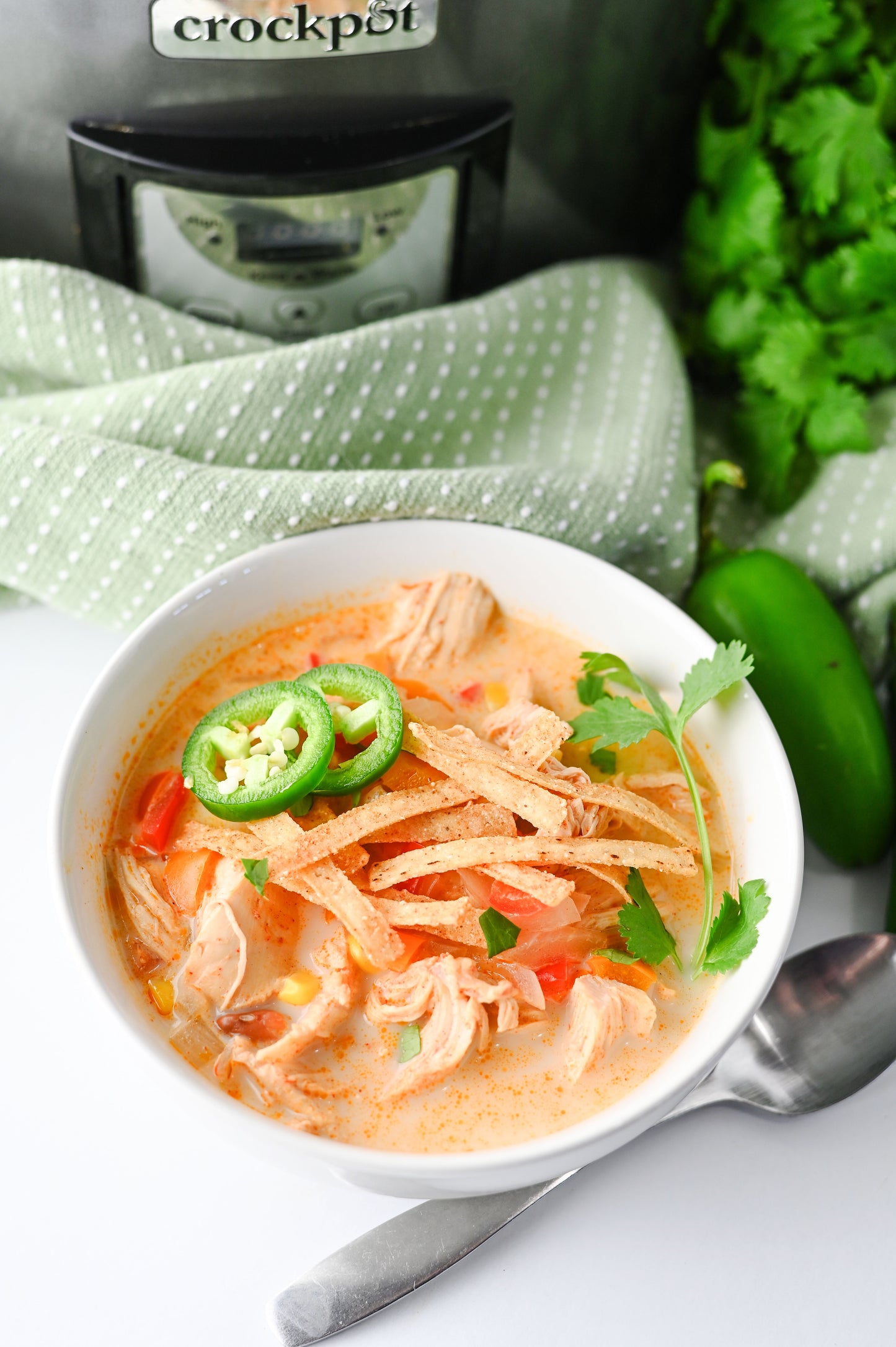 Slow Cooker Chicken Tortilla Soup Set #5