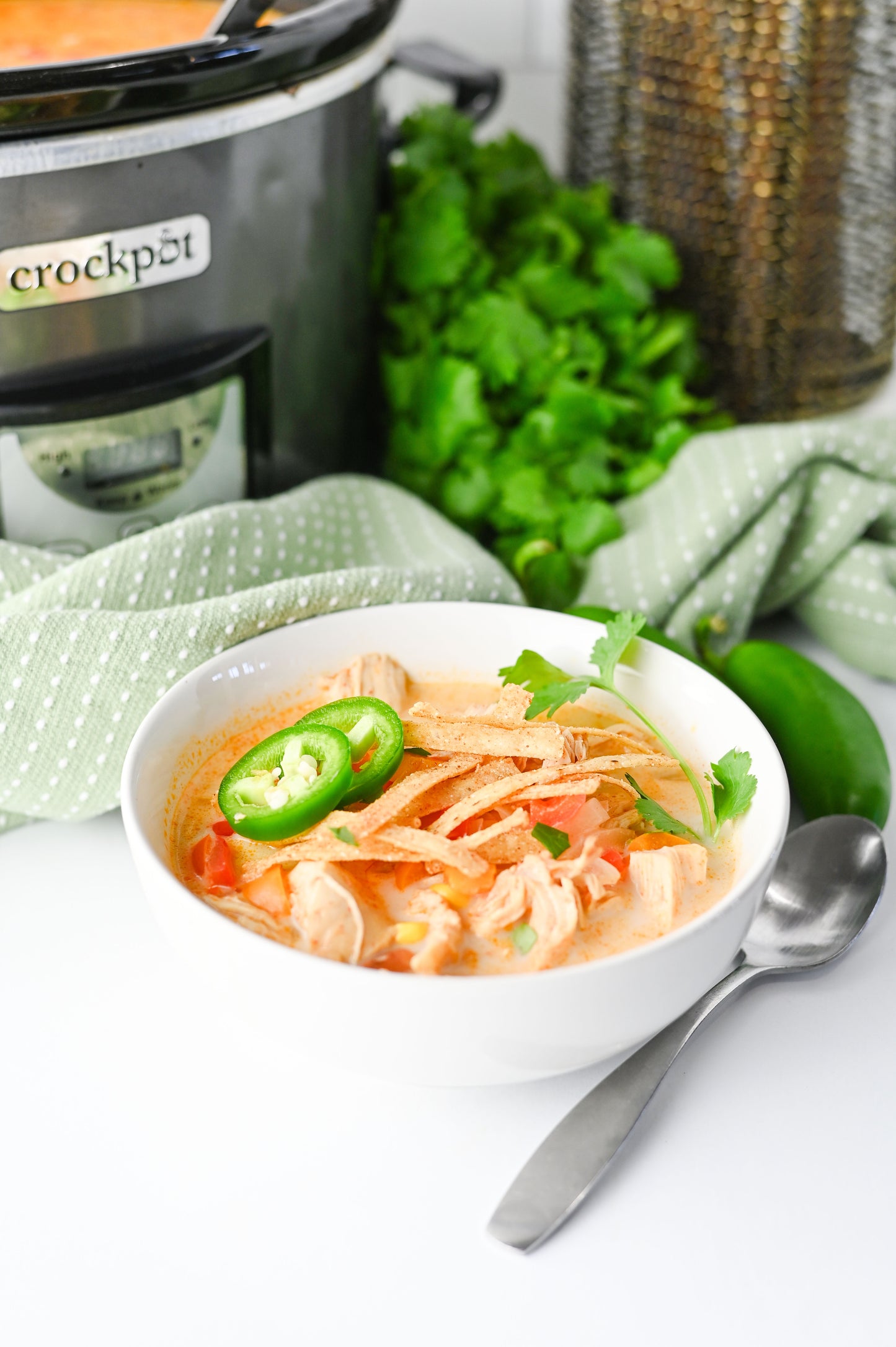 Slow Cooker Chicken Tortilla Soup Set #5