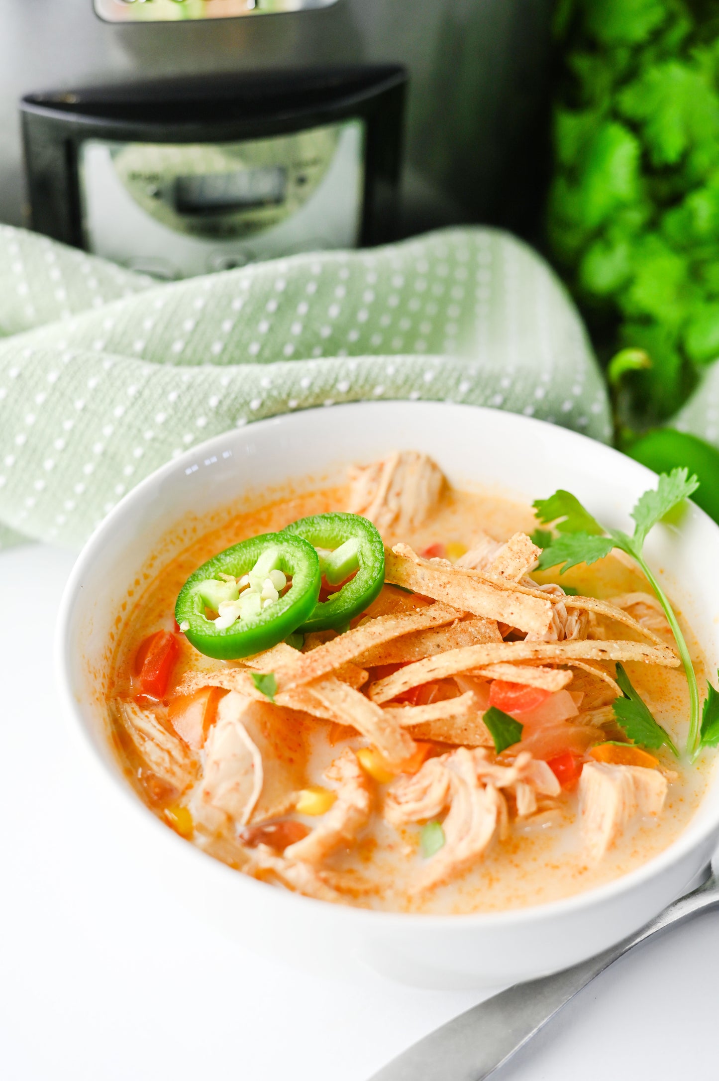 Slow Cooker Chicken Tortilla Soup Set #5