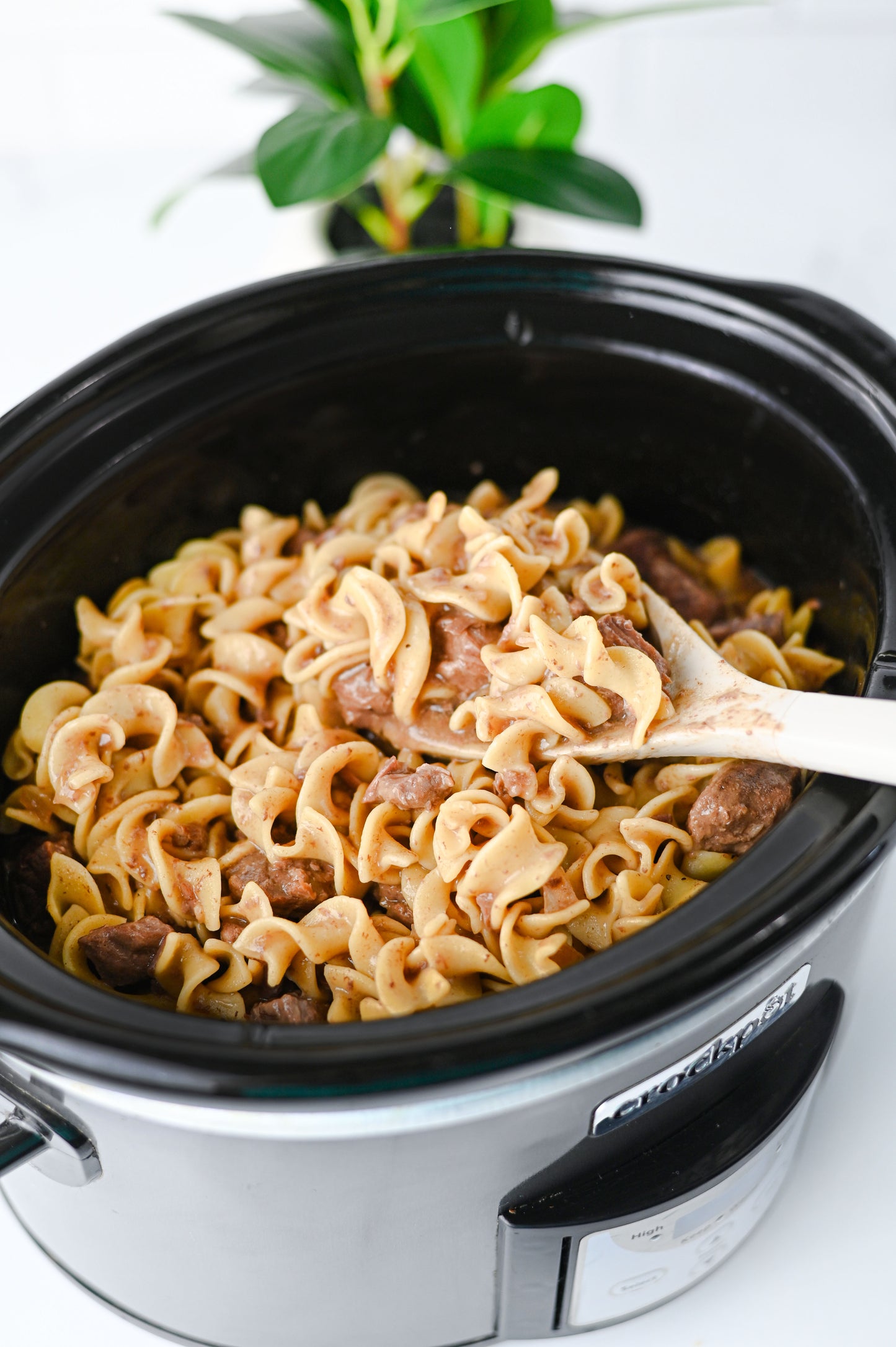 Crock Pot Beef and Noodles Set #5