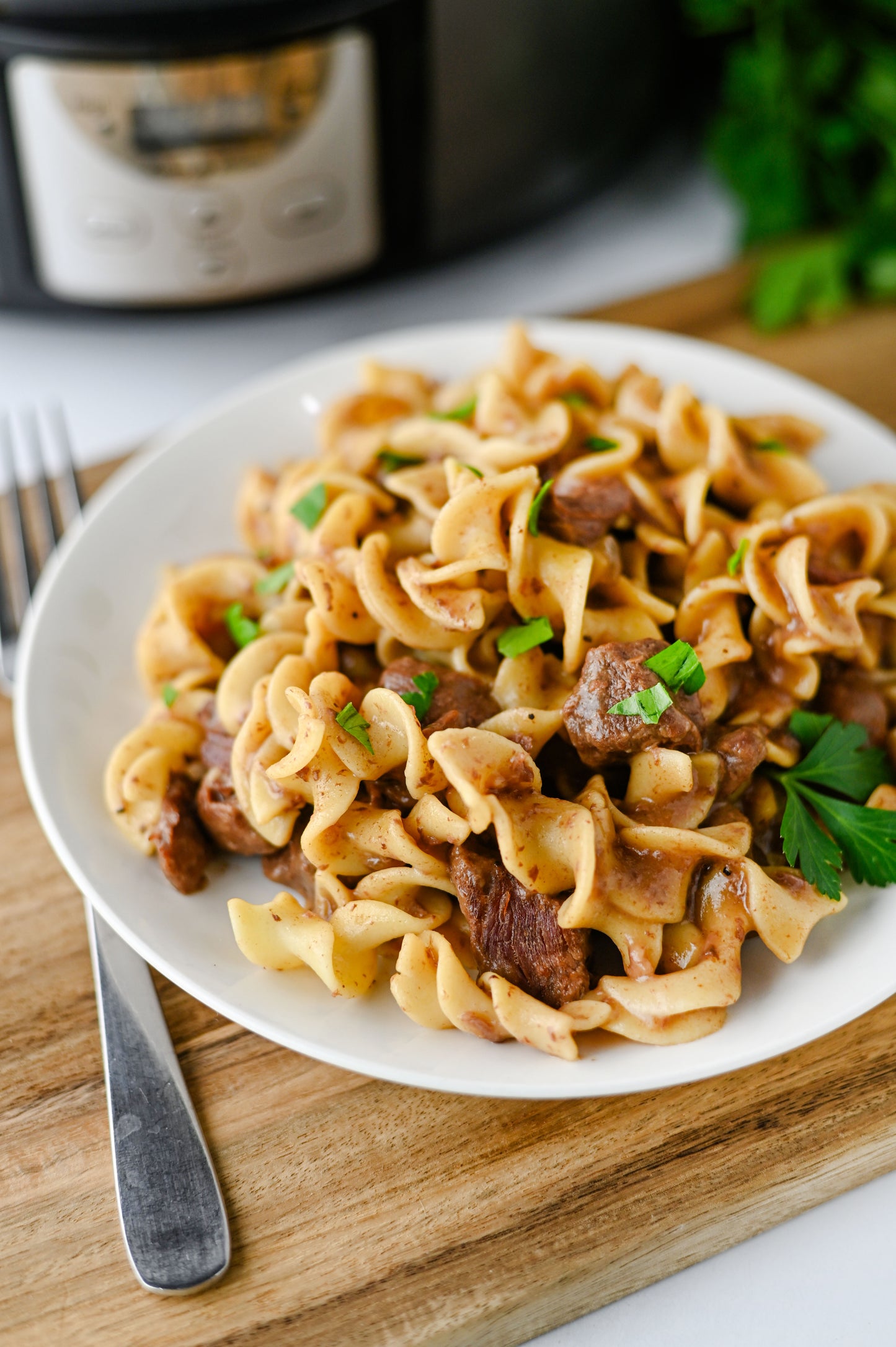 Crock Pot Beef and Noodles Set #5