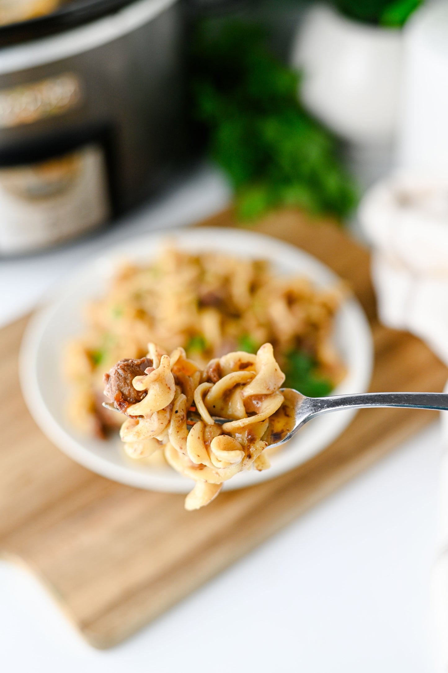 Crock Pot Beef and Noodles Set #5