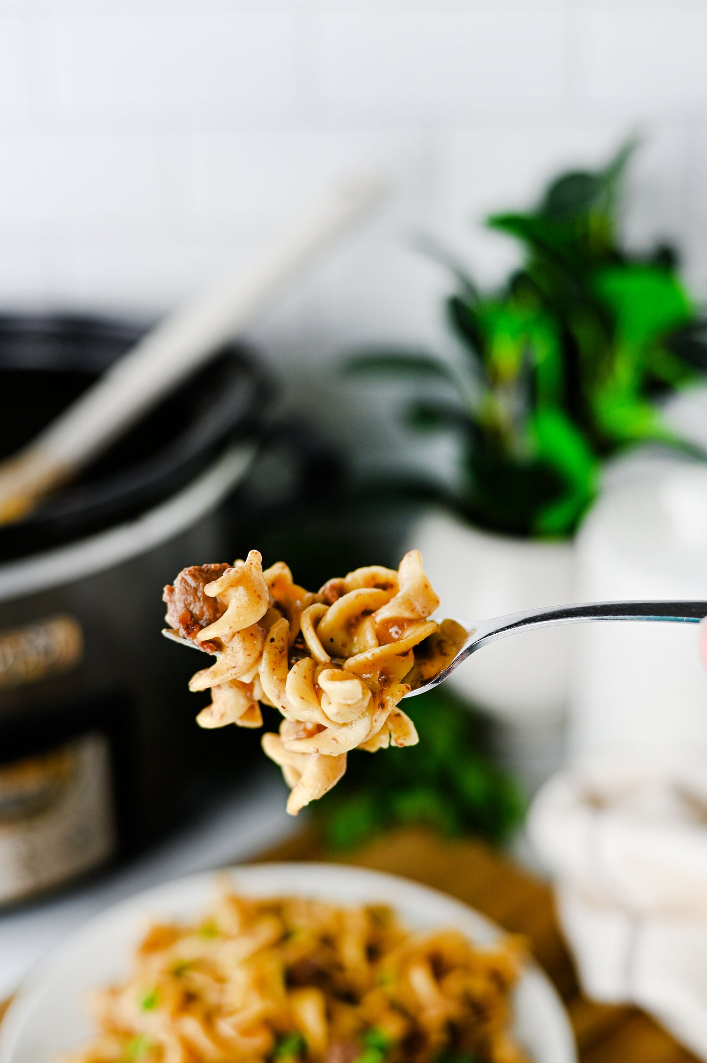 Crock Pot Beef and Noodles Set #5