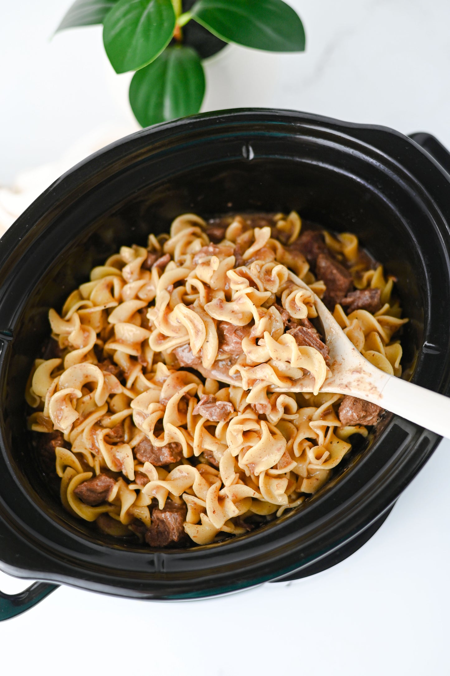 Crock Pot Beef and Noodles Set #5