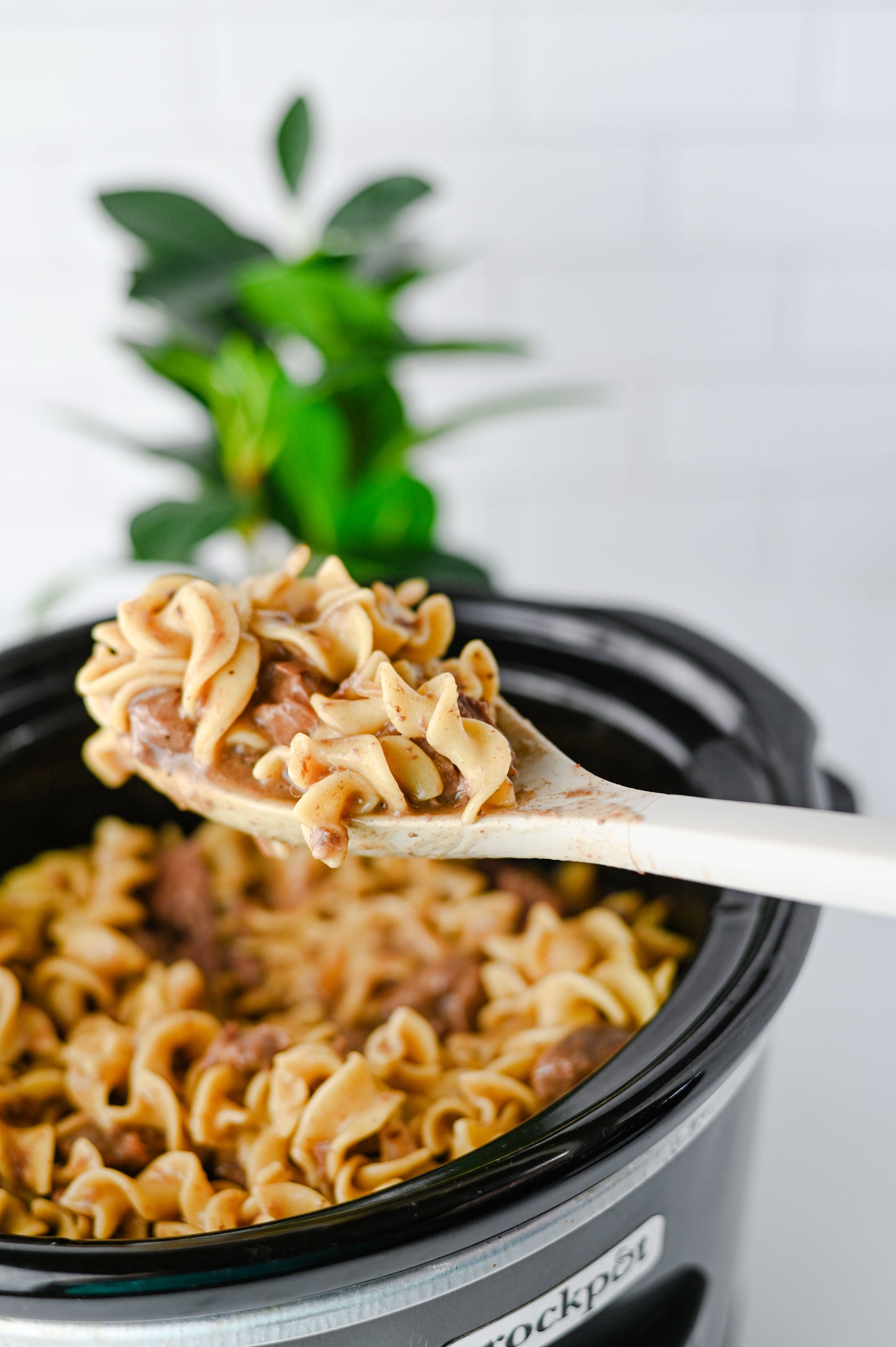 Crock Pot Beef and Noodles Set #5