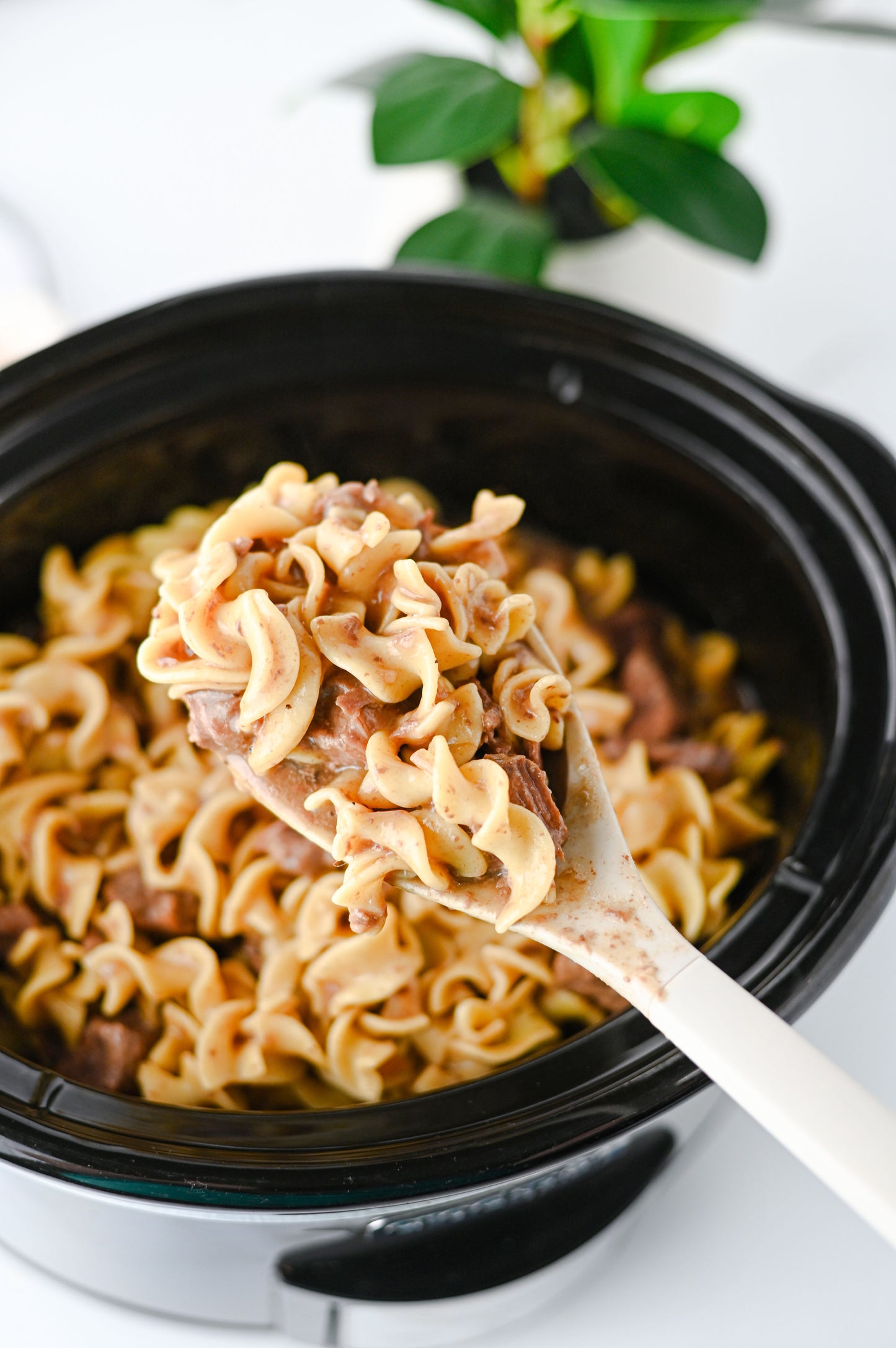 Crock Pot Beef and Noodles Set #5