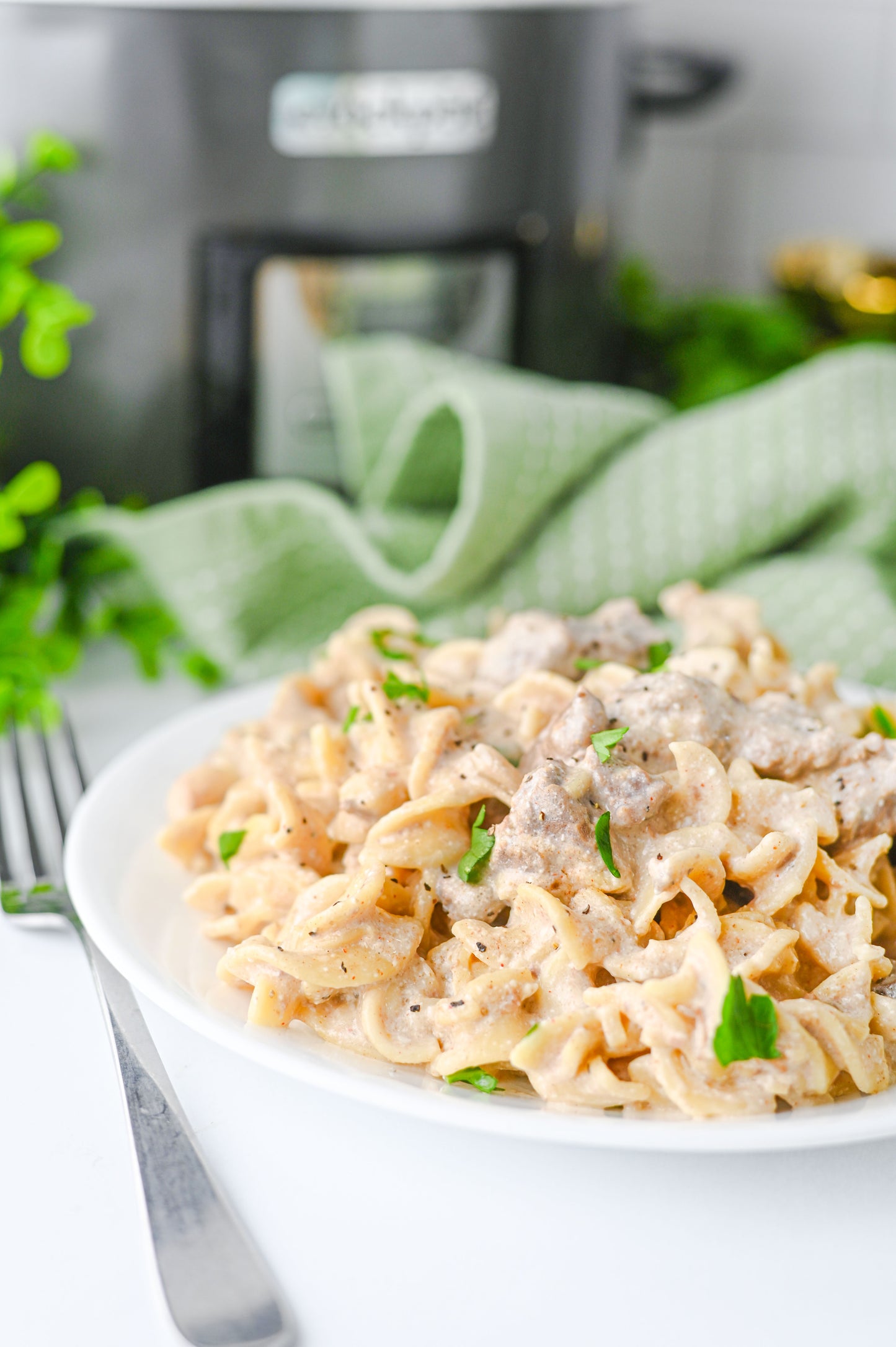 Crock Pot Beef Stroganoff Set #5