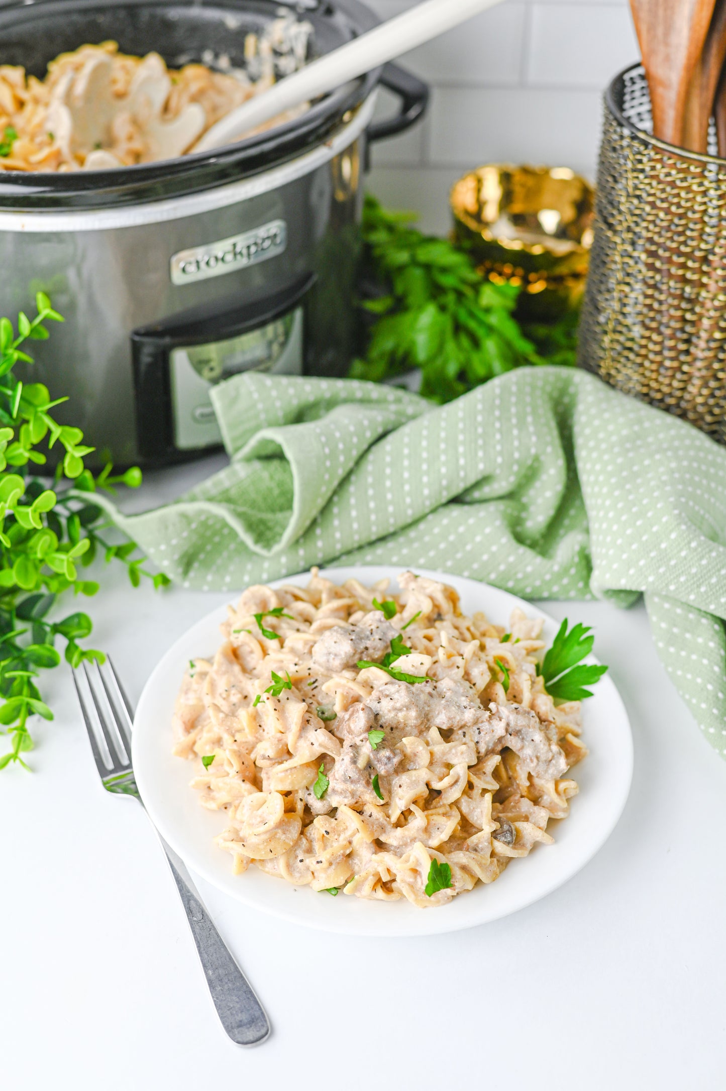 Crock Pot Beef Stroganoff Set #5