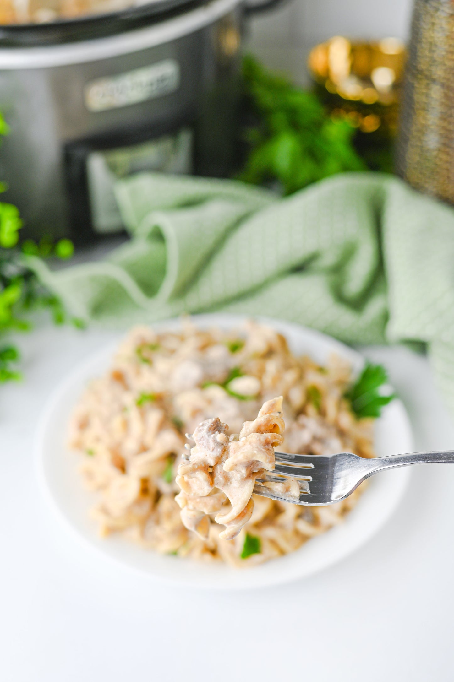 Crock Pot Beef Stroganoff Set #5