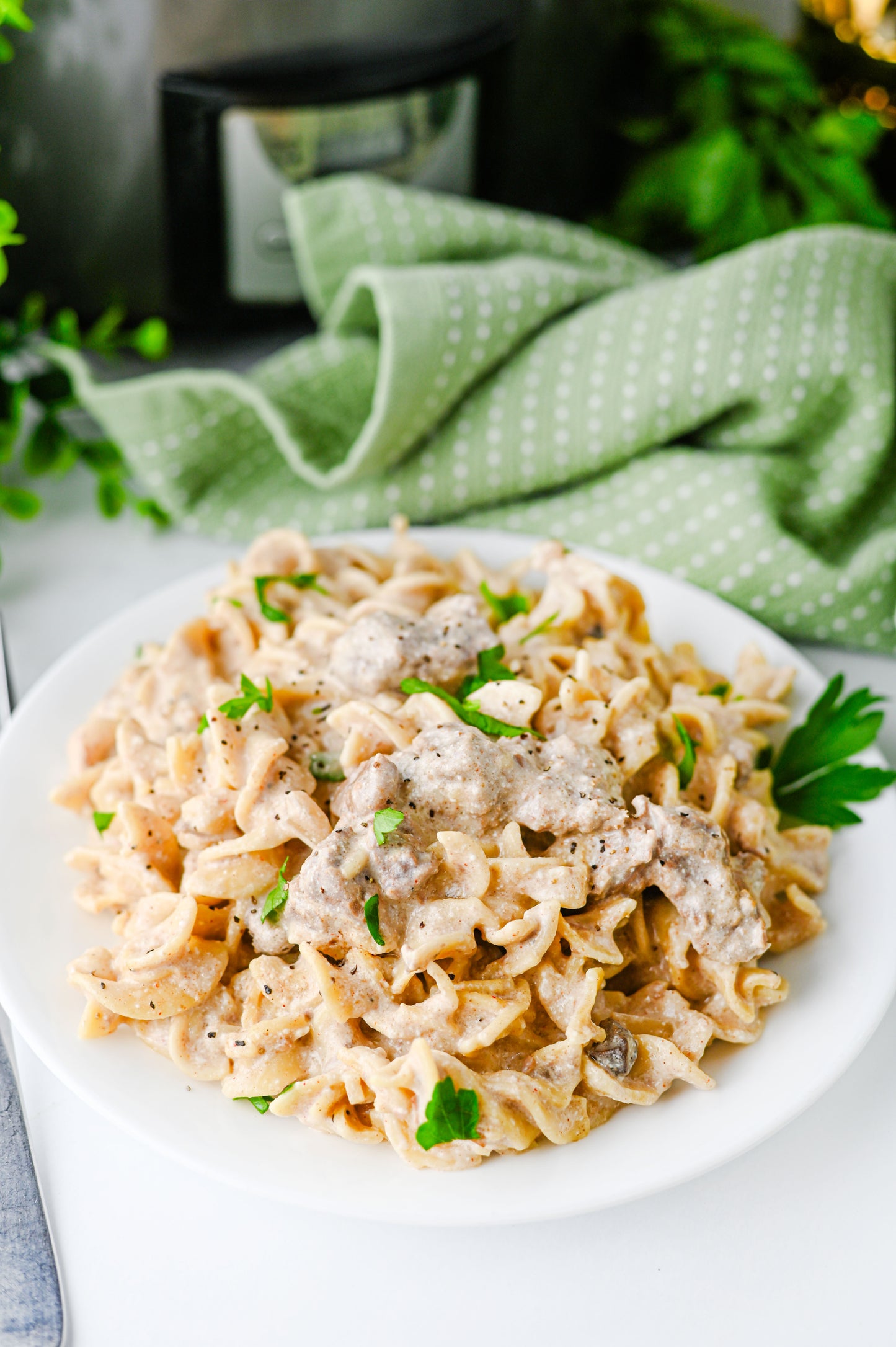 Crock Pot Beef Stroganoff Set #5