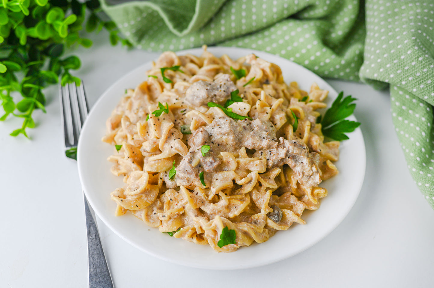 Crock Pot Beef Stroganoff Set #5