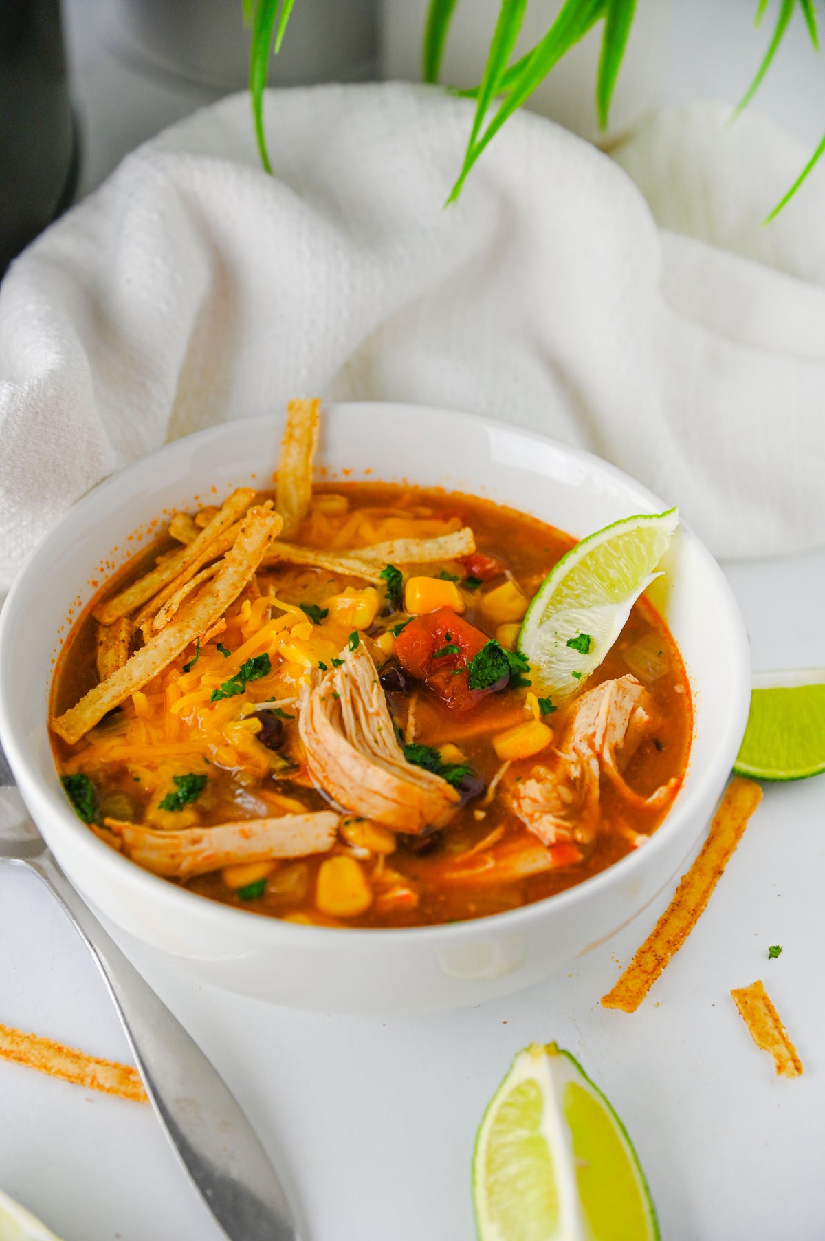 Slow Cooker Enchilada Soup Set #5