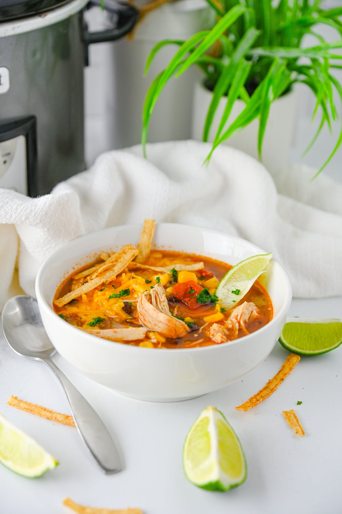 Slow Cooker Enchilada Soup Set #5
