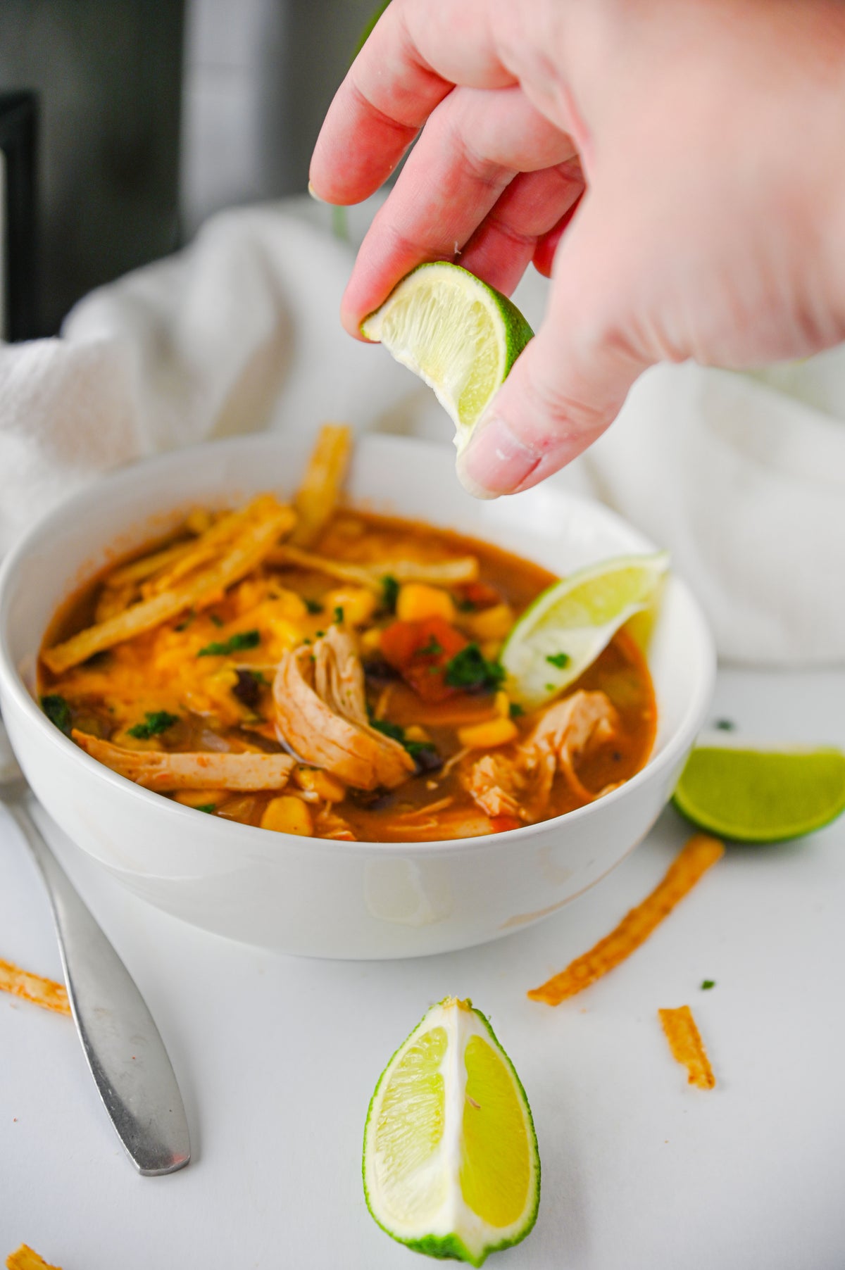 Slow Cooker Enchilada Soup Set #5