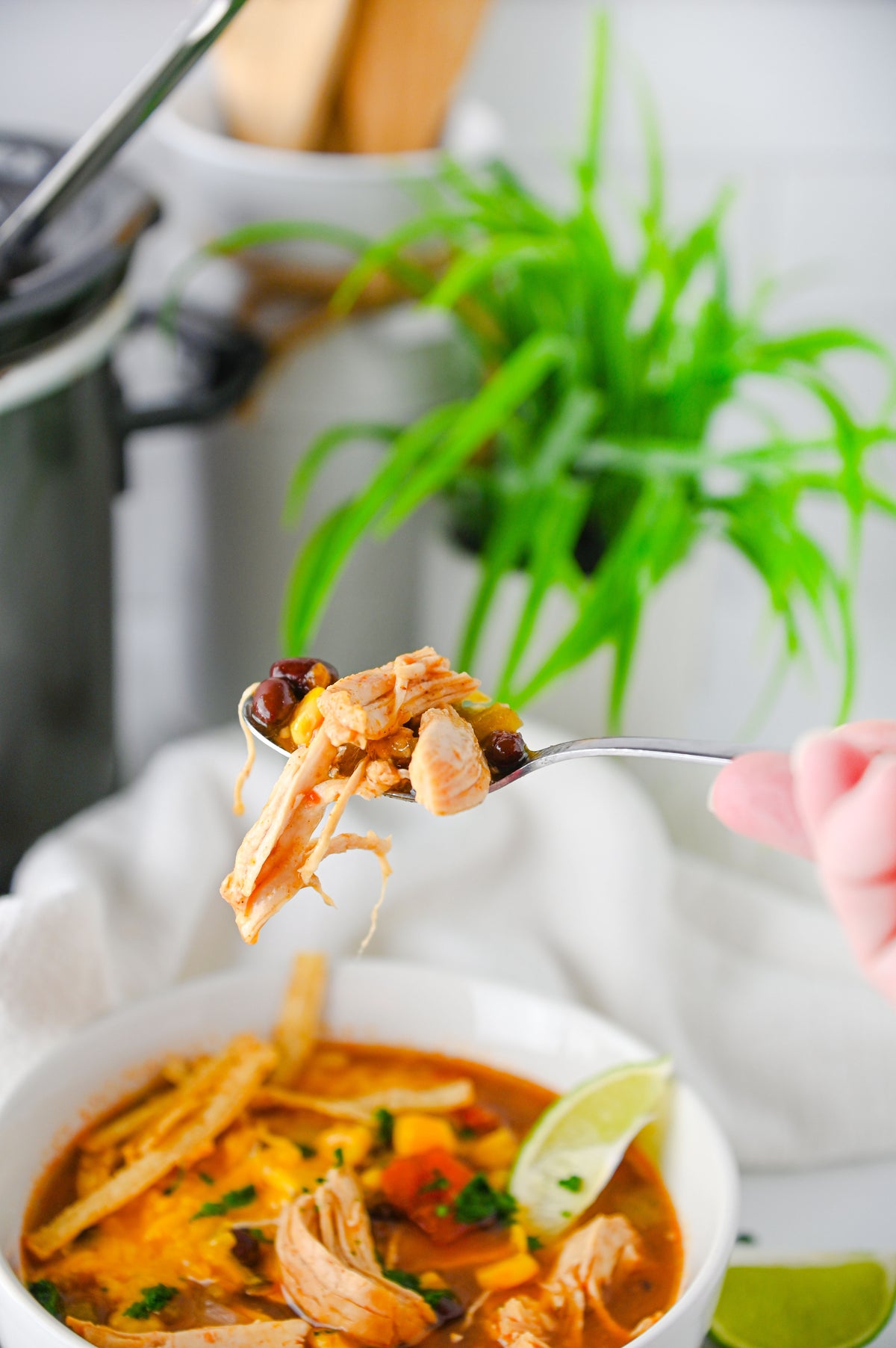 Slow Cooker Enchilada Soup Set #5