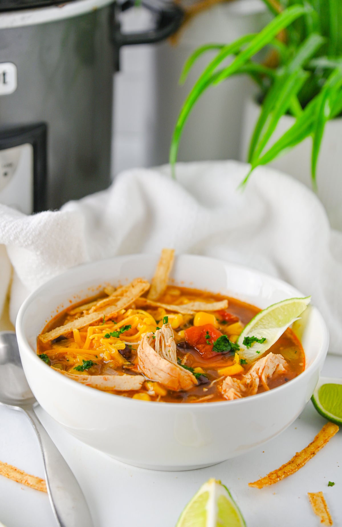 Slow Cooker Enchilada Soup Set #5