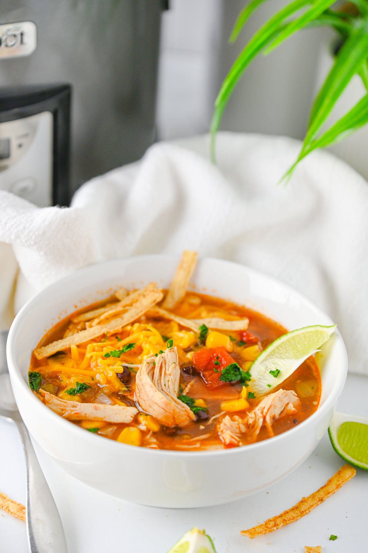 Slow Cooker Enchilada Soup Set #5