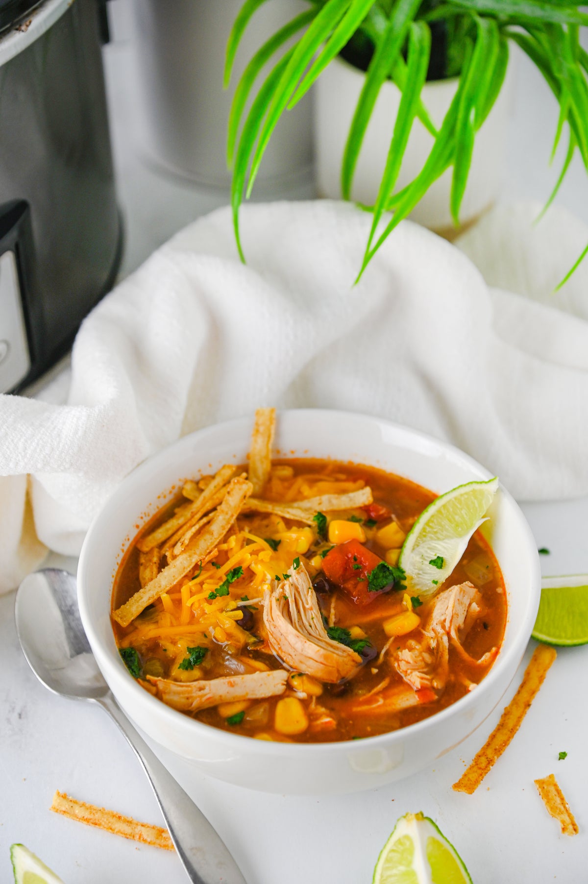 Slow Cooker Enchilada Soup Set #5