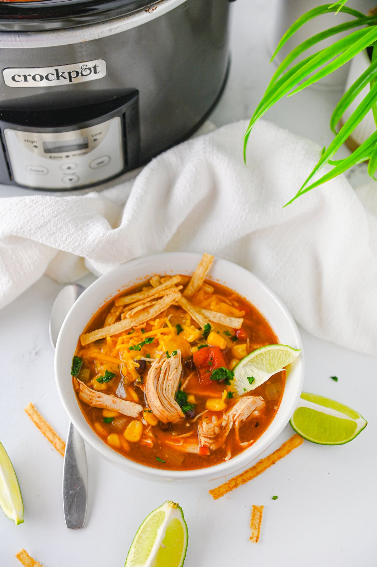 Slow Cooker Enchilada Soup Set #5