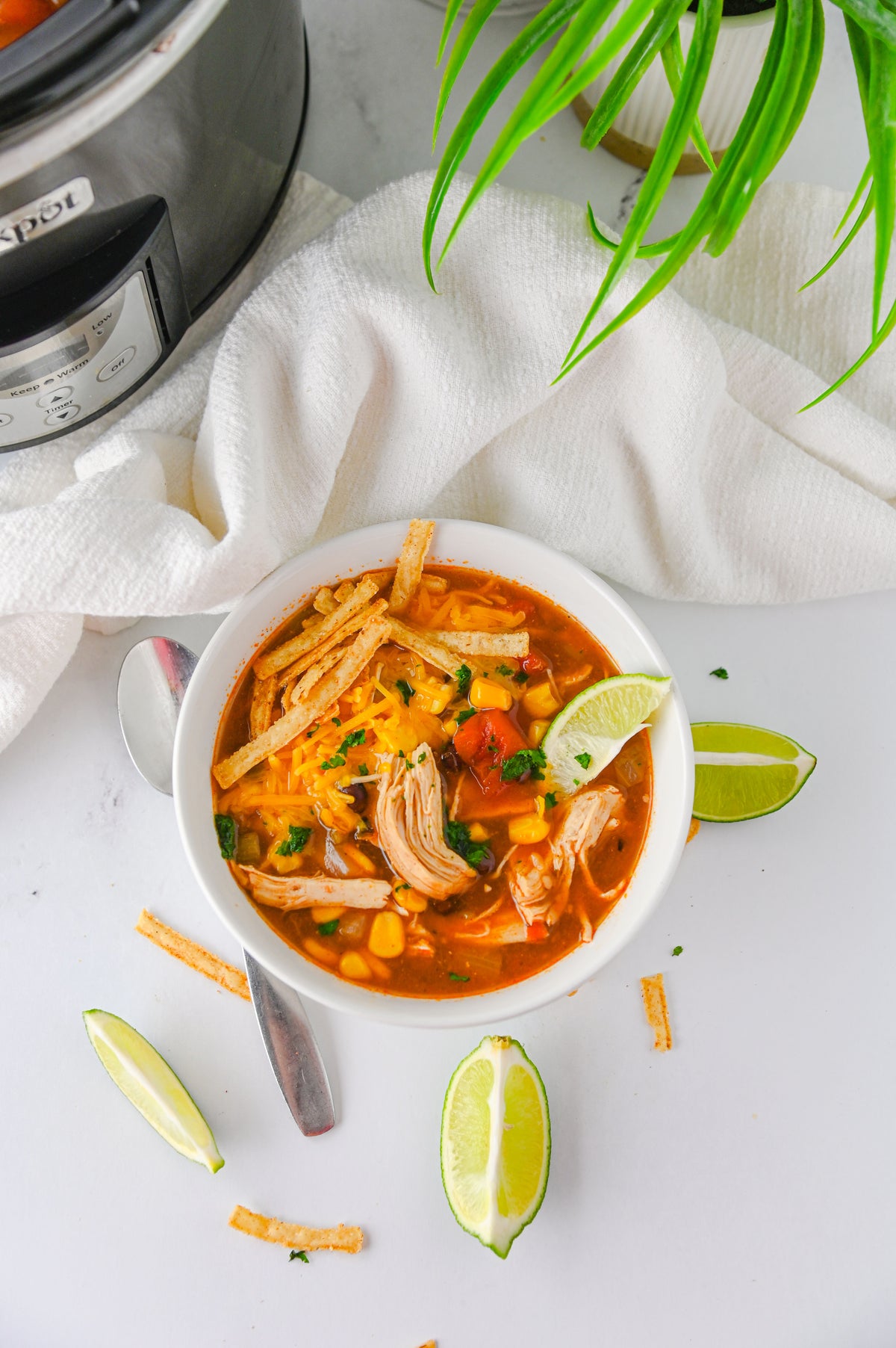Slow Cooker Enchilada Soup Set #5