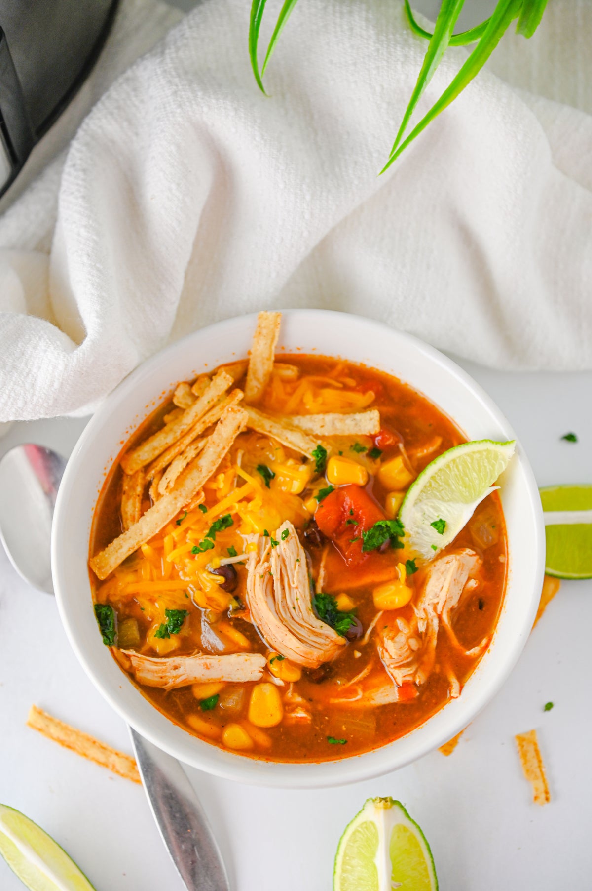 Slow Cooker Enchilada Soup Set #5