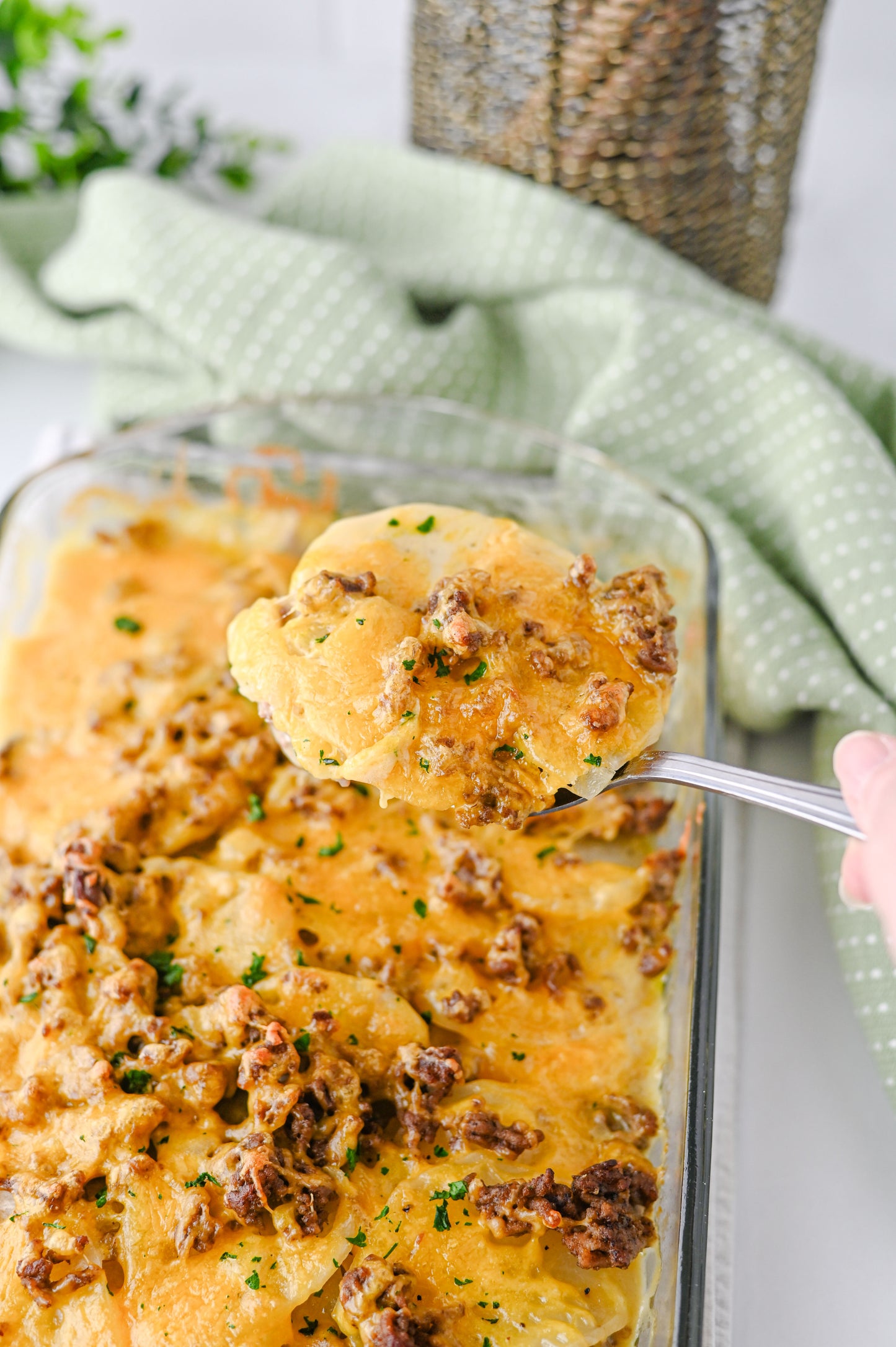 Hamburger Potato Casserole Set #5
